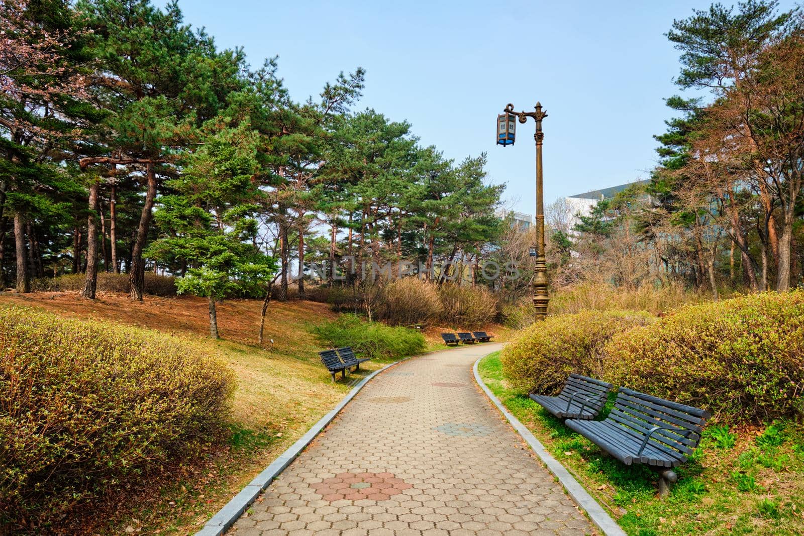 Pathwalk with benches in Yeouido Park public park in Seoul, Korea