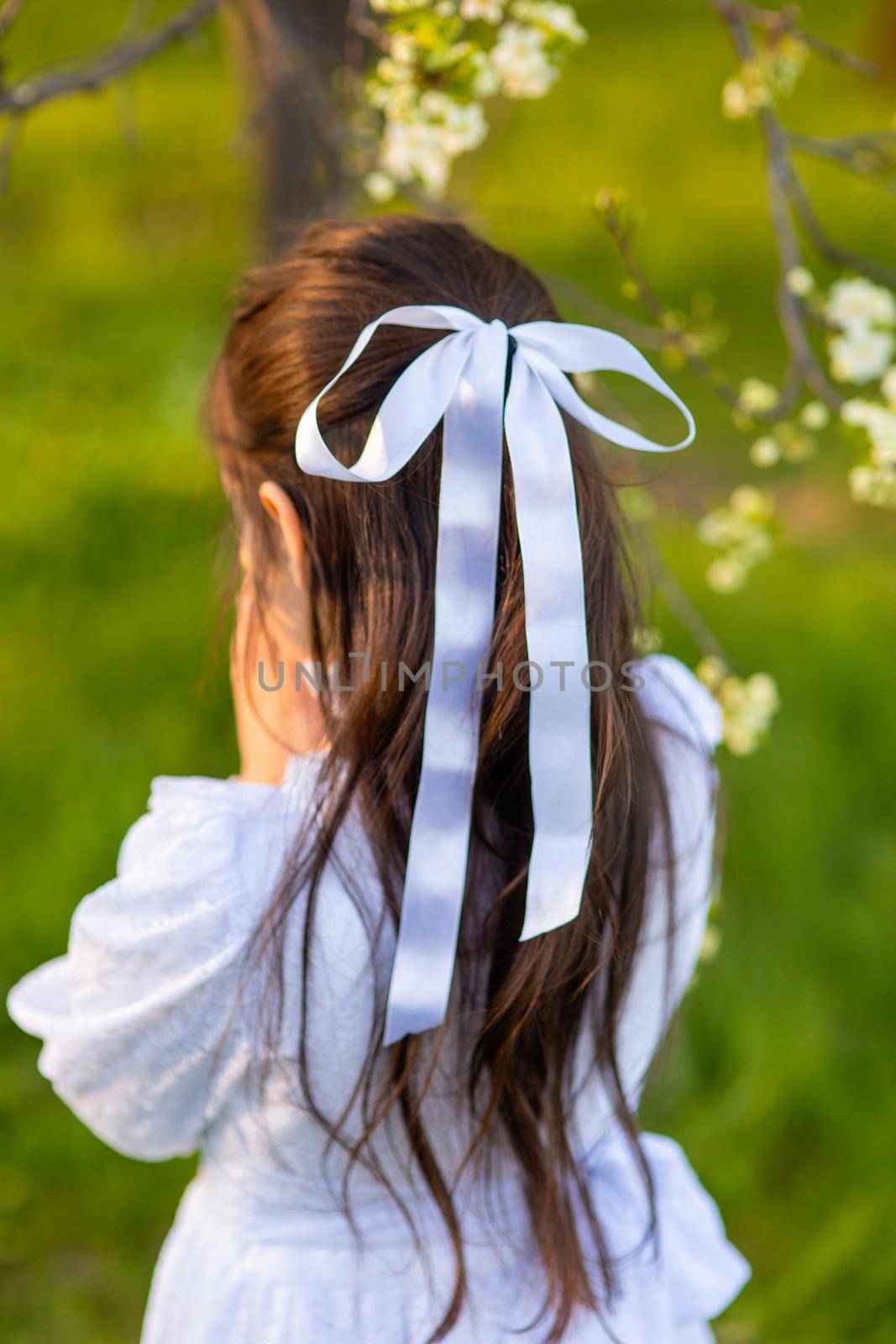 A beautiful girl in a white dress with a white ribbon bow in long dark hair stands under the blooming white trees in spring. Back view