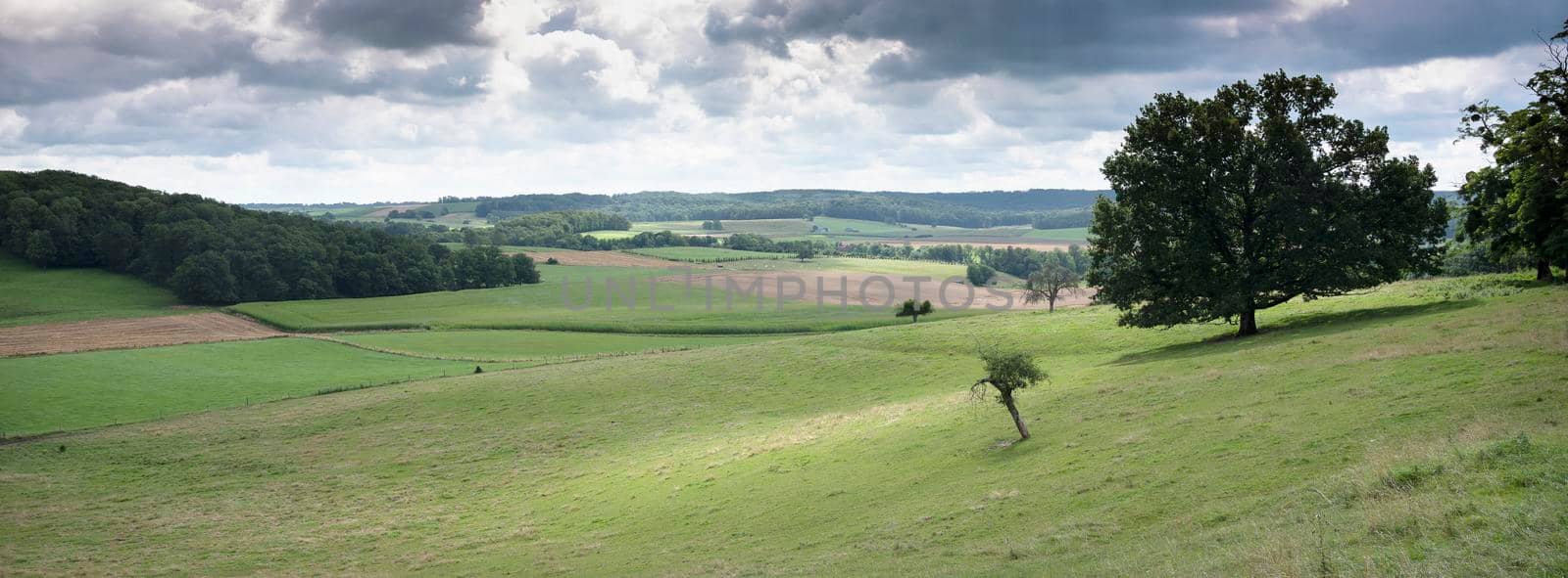 summer countryside landscape with green meadows and village in french ardennes near charleville by ahavelaar