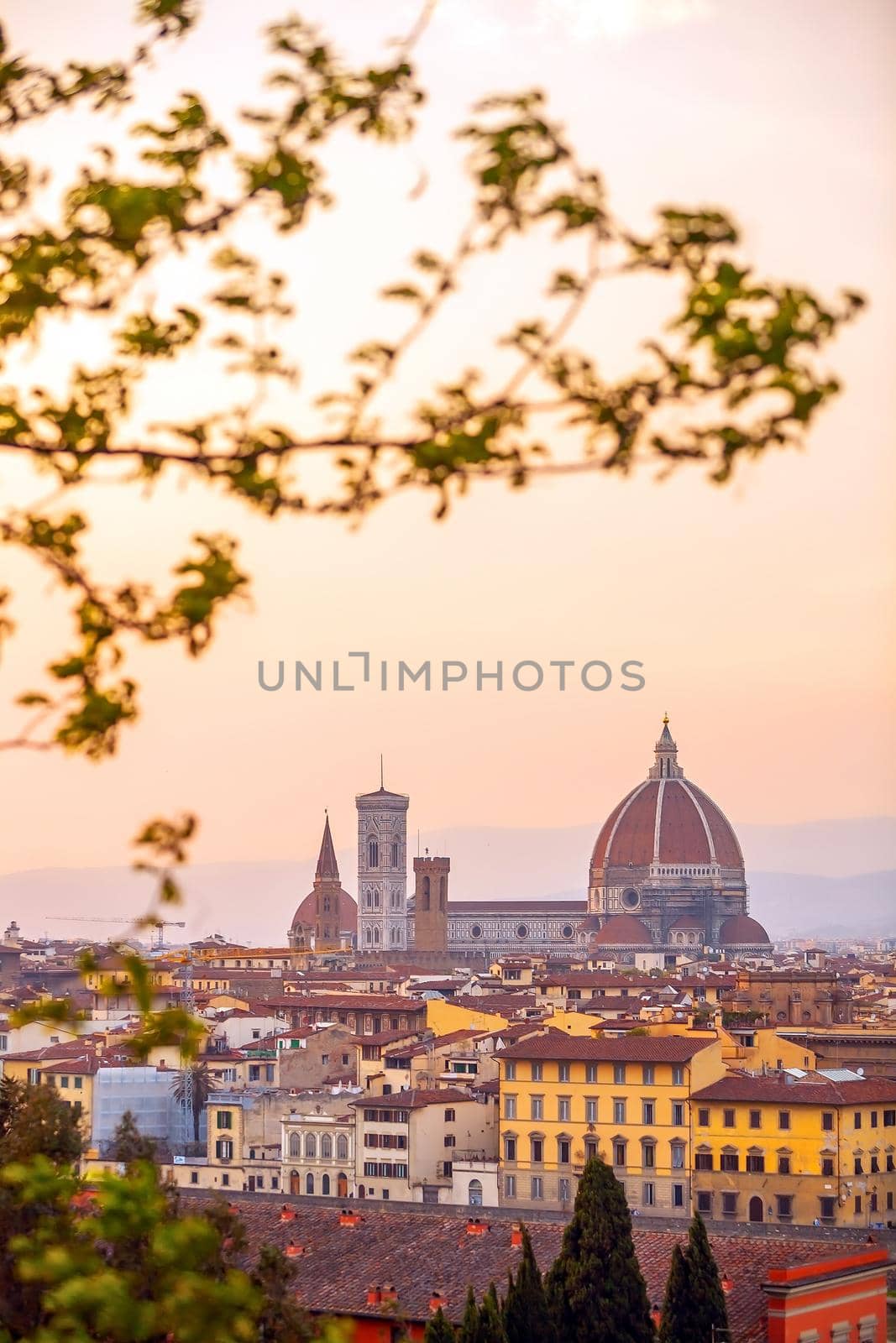 Duomo and Florence city downtown skyline cityscape of  Italy by f11photo