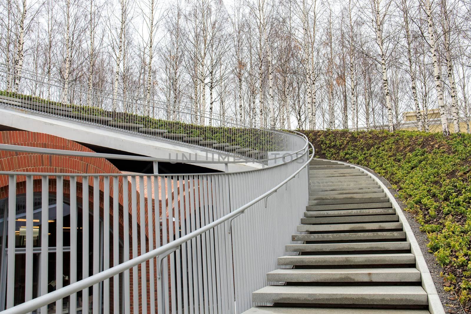 Tall modern winding staircase with railings in a birch grove