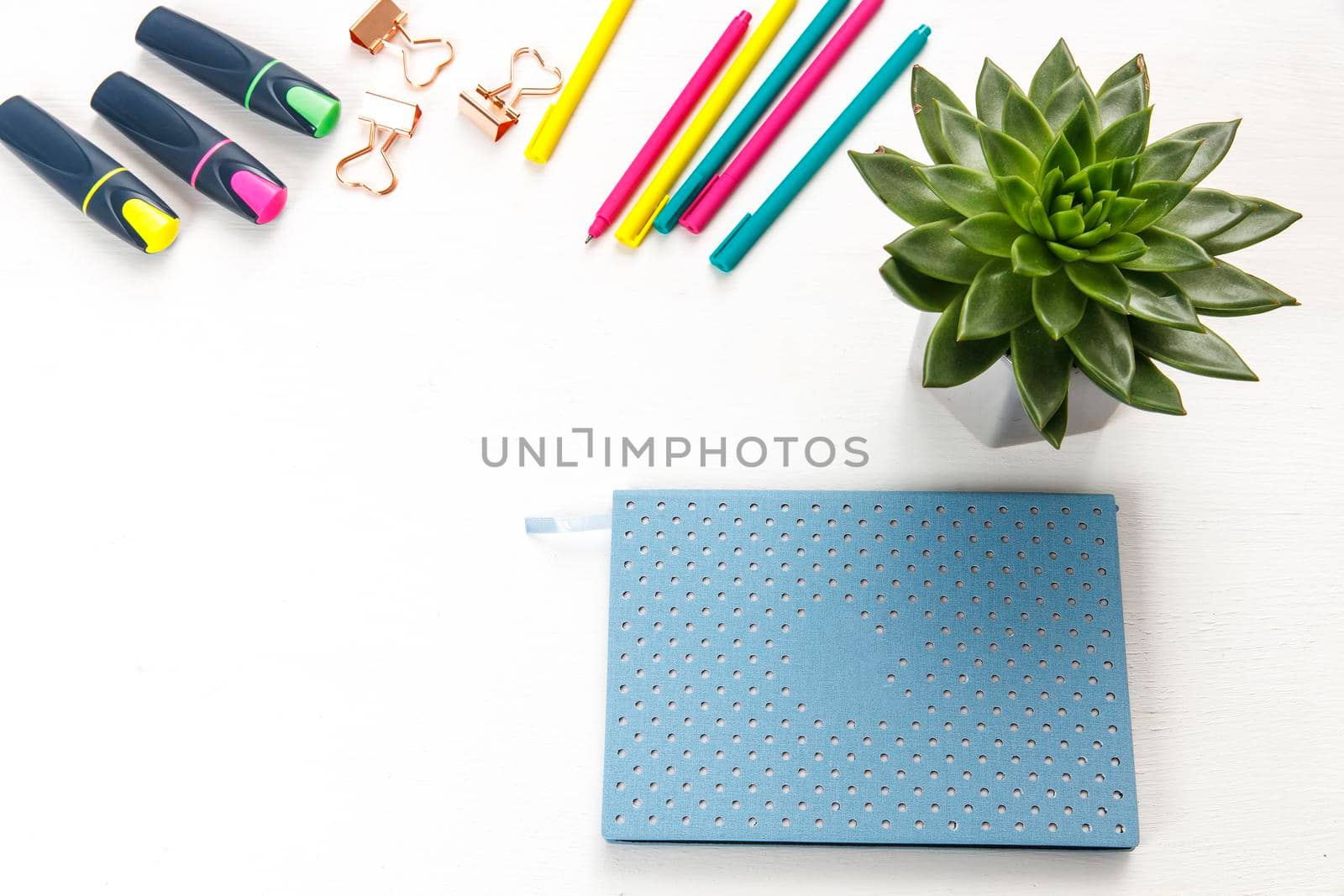 Layout for the office. Back to school. Blue notebook, colorful pens, felt-tip pens, paper clips, potted echeveria. Place for text by elenarostunova
