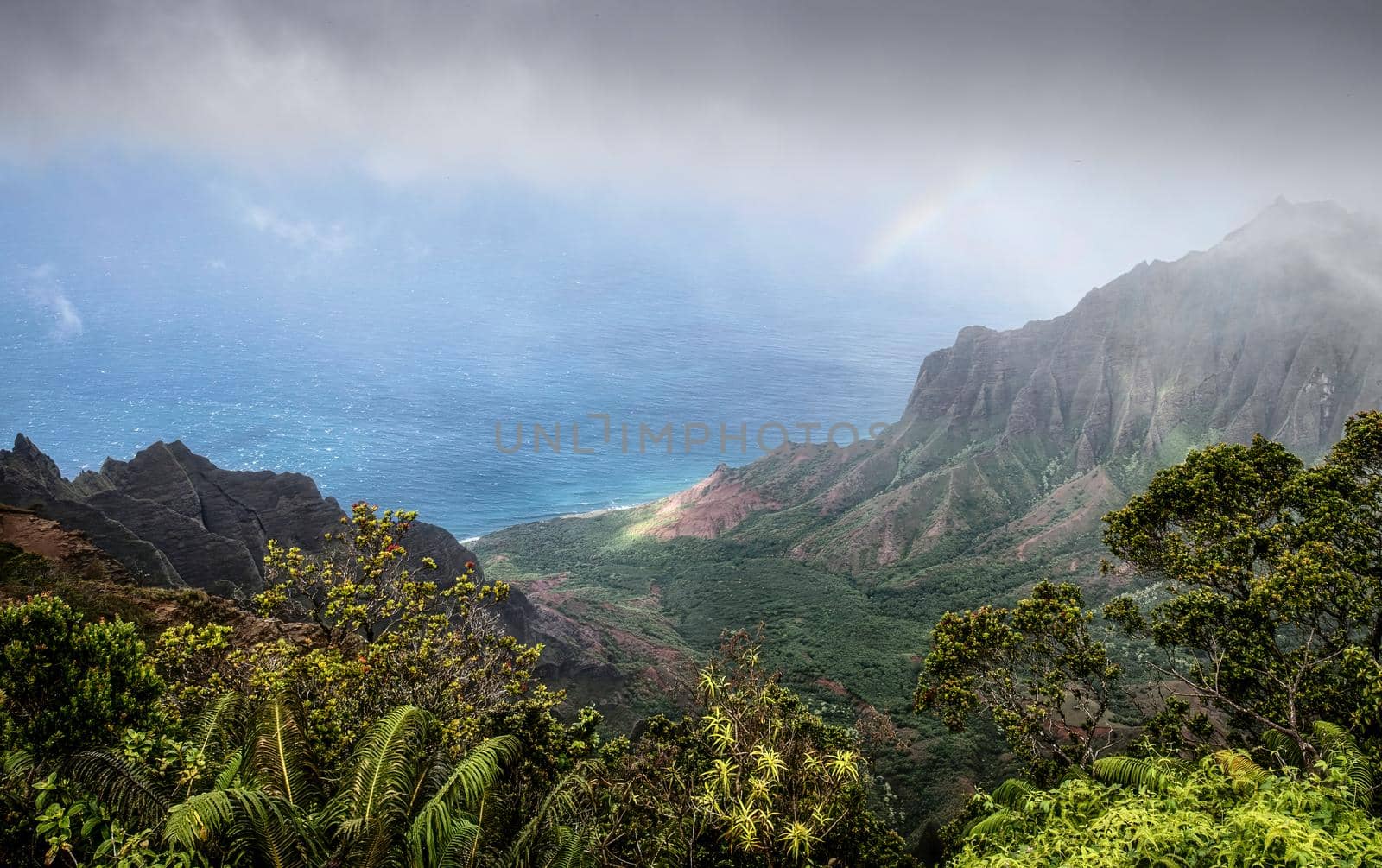 Kauai Island coastal view of lush jungle by lisaldw
