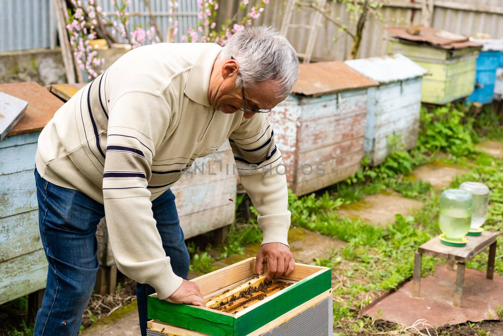 beekeeper's hand holds empty eaten honeycombs.