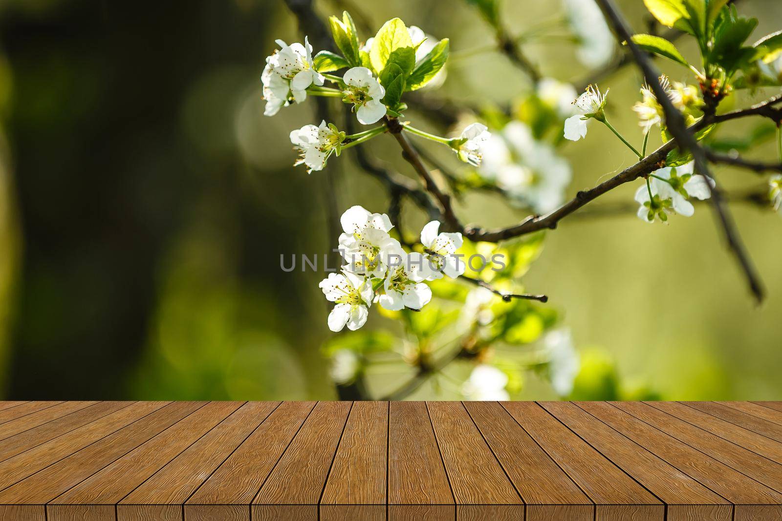 Frame of spring flowers on a wooden background.