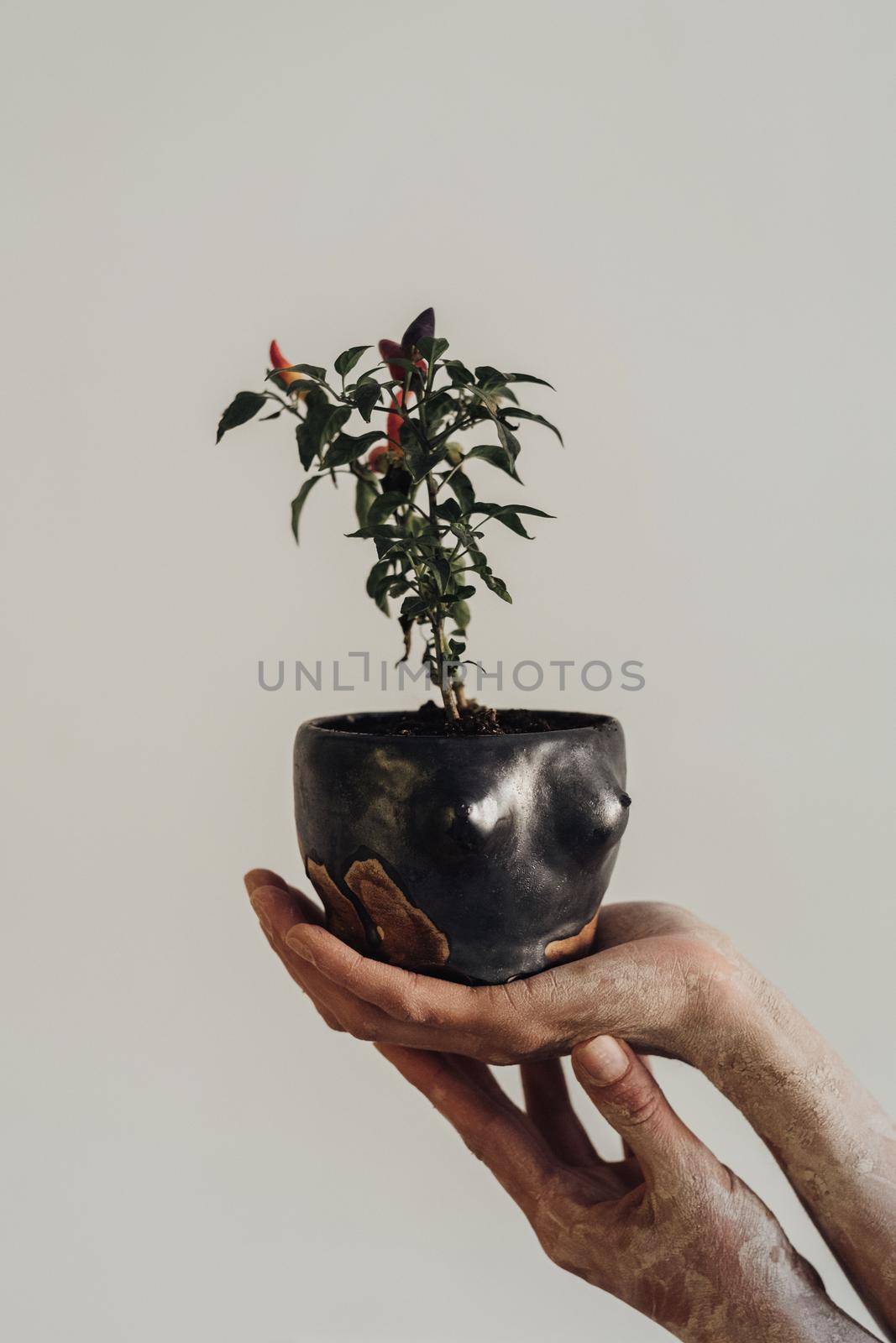 Female Hands Greased in Clay Holding a Handmade Flowerpot in Shape of Woman's Breast with Plant on the Background of Light Gray Wall by Romvy