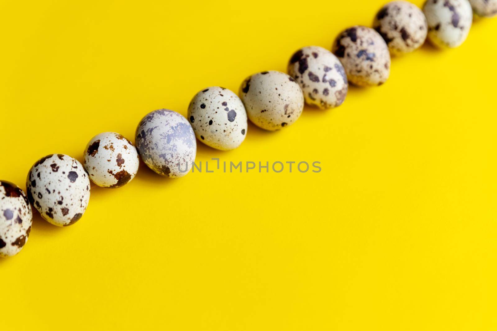 small spotted quail eggs scattered on beige cloth and bouquet of dried blue gypsophila flowers.