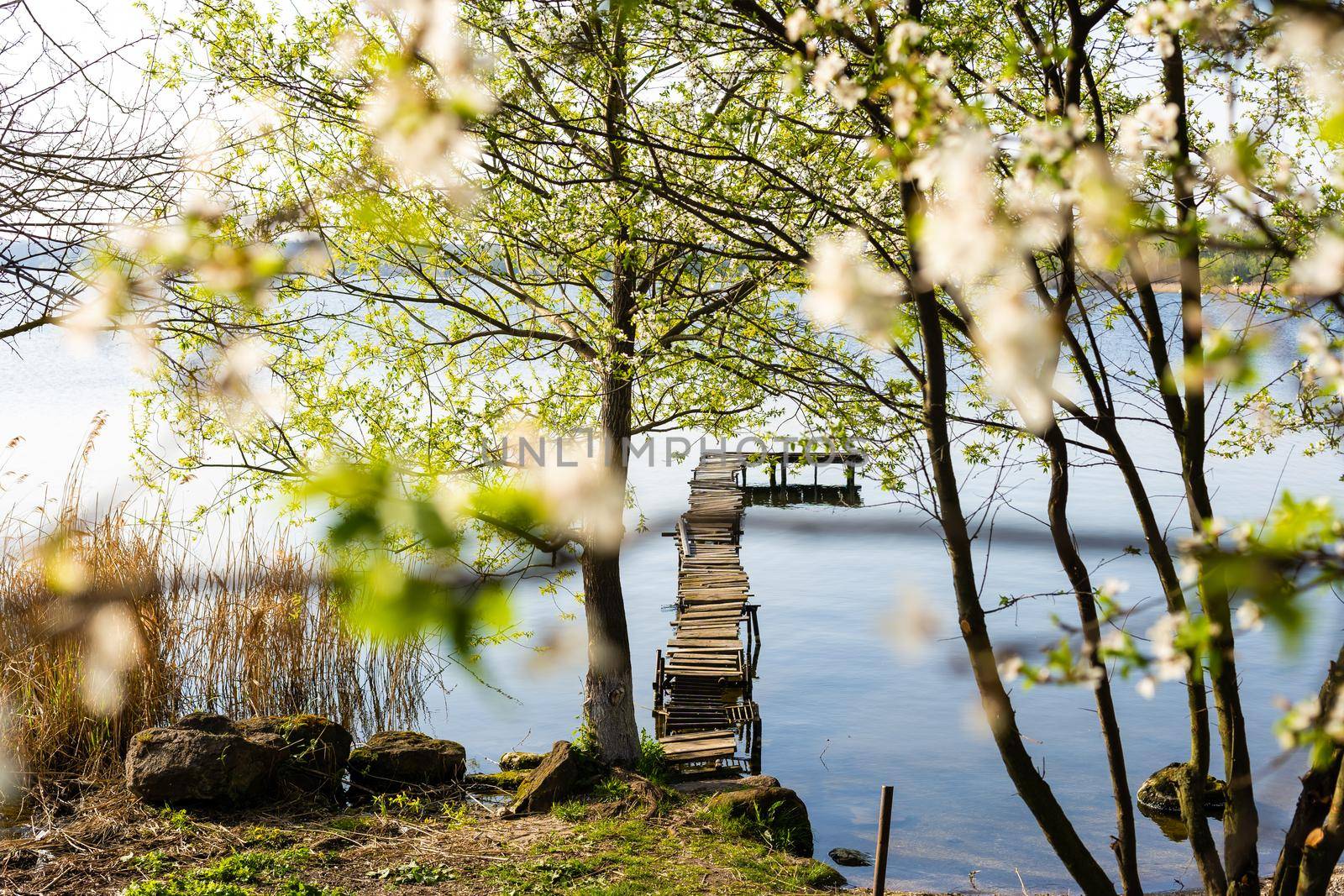 pier, wooden platform panton by the river. by Andelov13