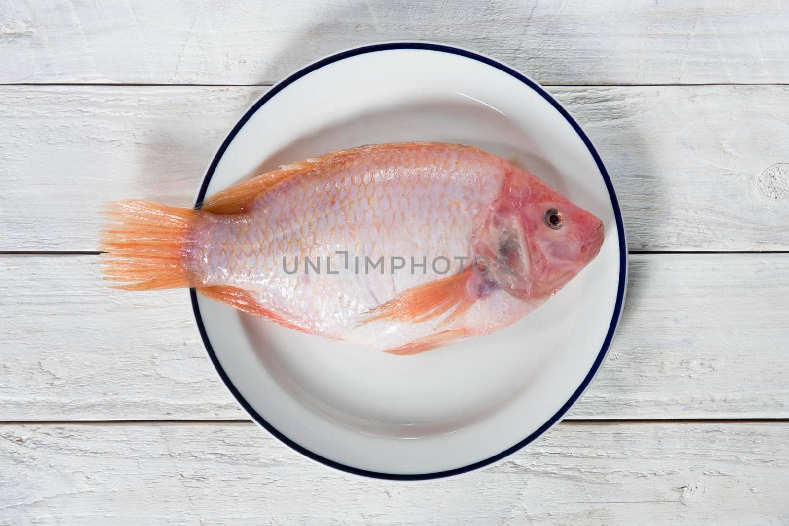 raw fish pink tilapia on a plate on a wooden white table, flat lay food. High quality photo