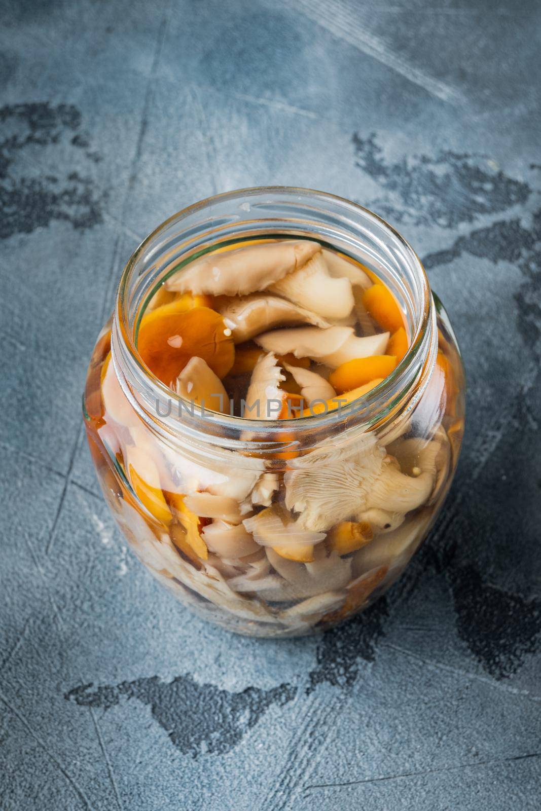 Fermented food: Mushroom preservation, on gray background by Ilianesolenyi