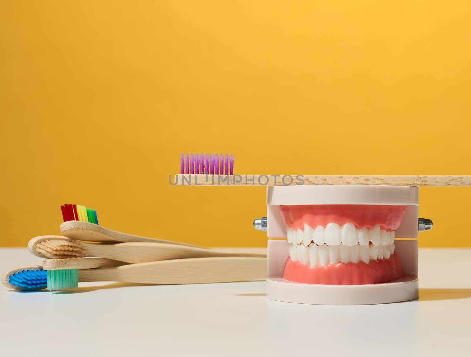 plastic model of a human jaw with white teeth and wooden toothbrush on a yellow background, oral hygiene