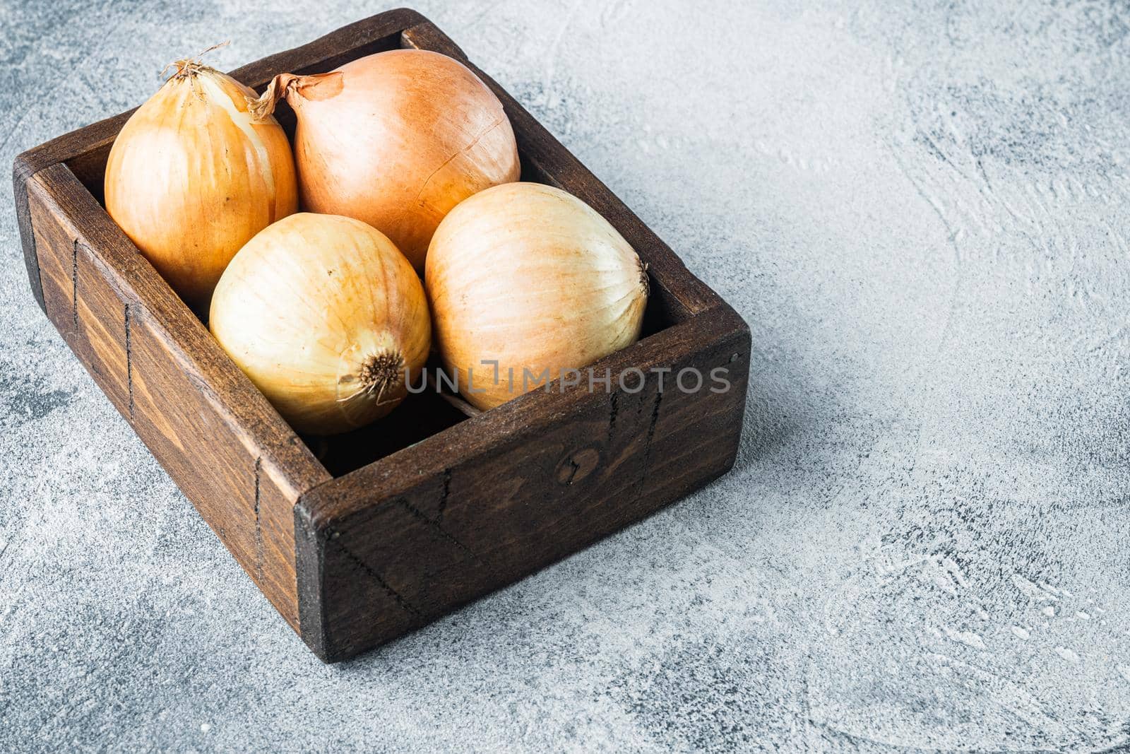 Fresh onions harvest, on gray background with copy space for text by Ilianesolenyi