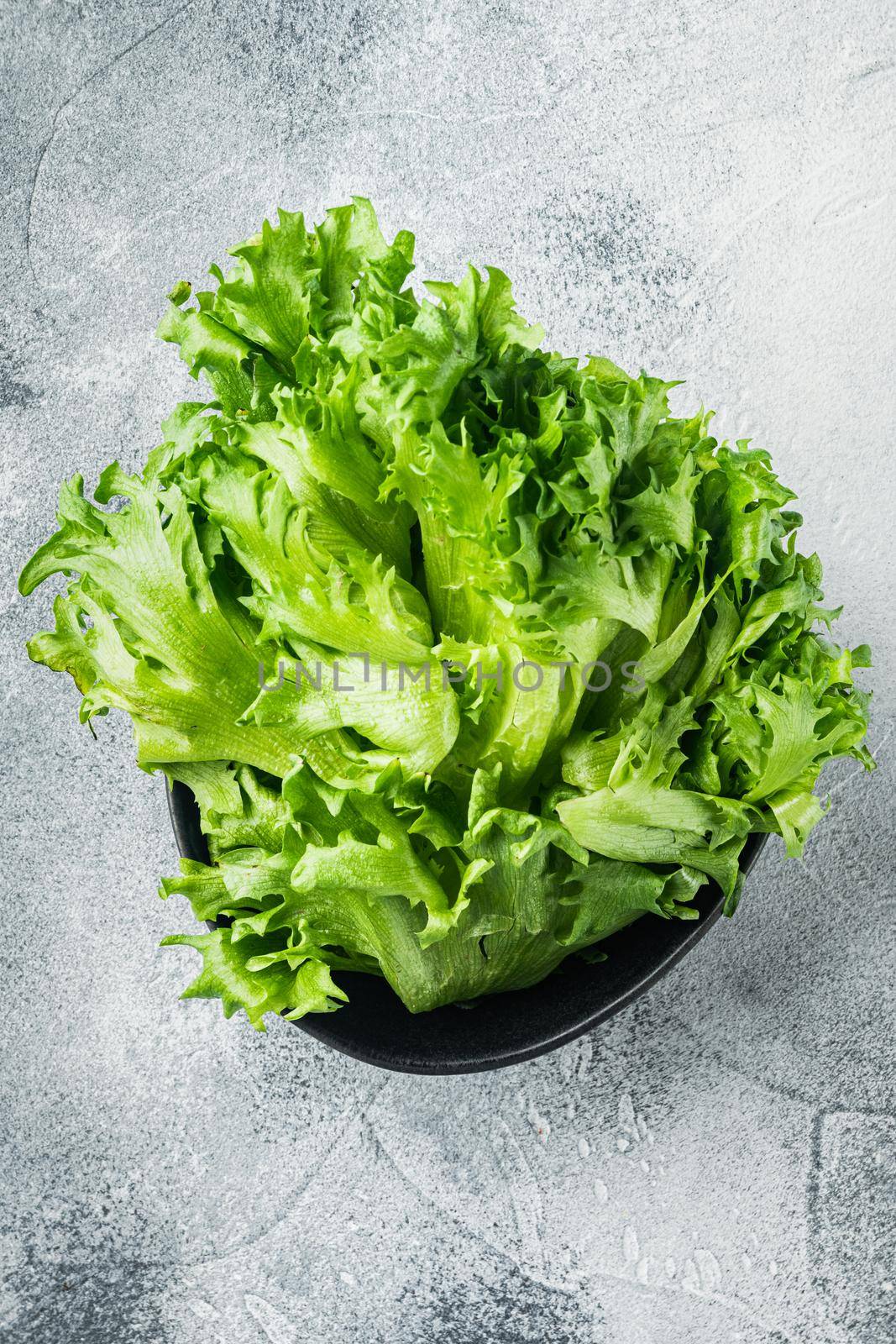 Raw organic green oak lettuce leaves, on gray background, top view flat lay