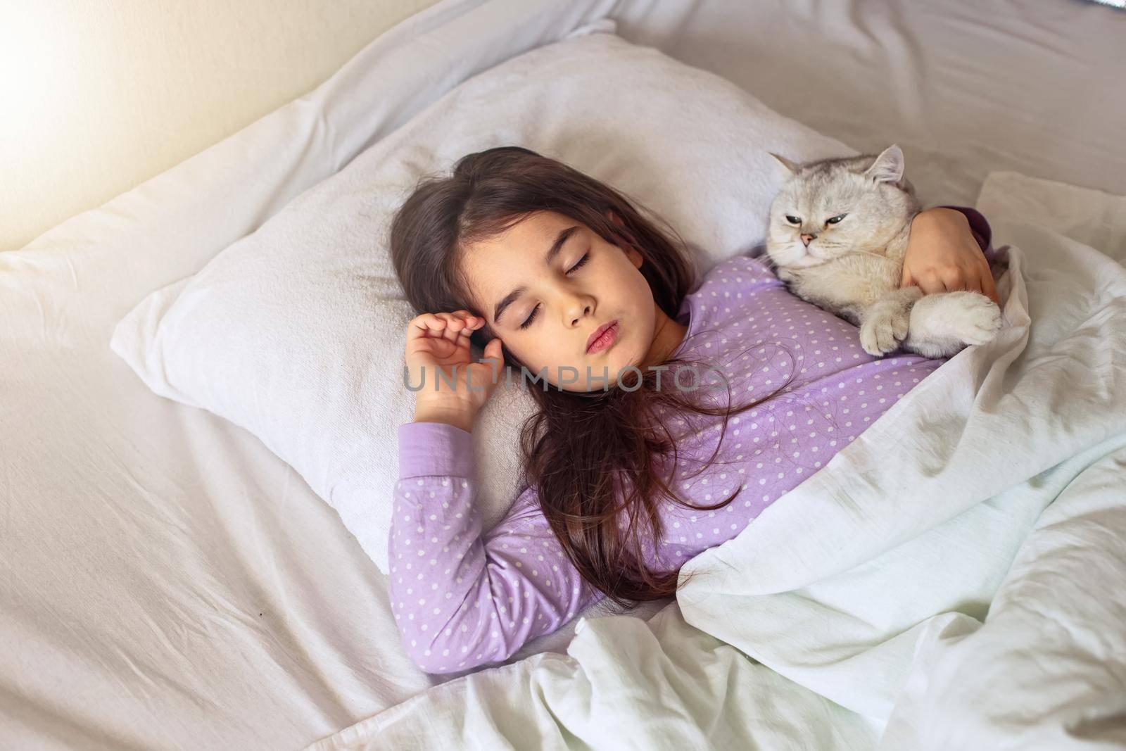 A little brunette girl in purple pajamas sleeps hugging a white charming cat lying on a white pillow, under a white blanket on the bed. View from above