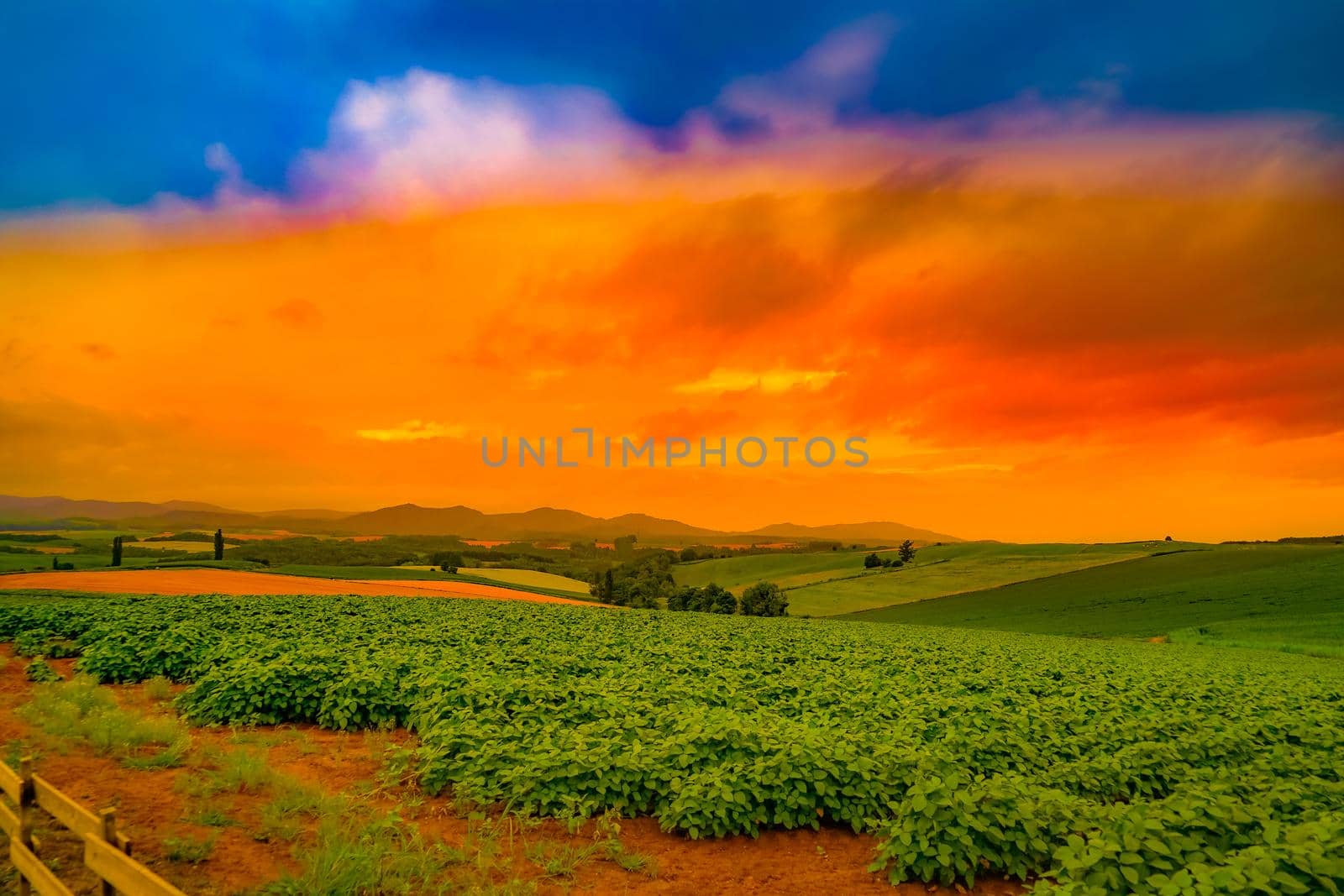 Nature and dusk of Biei-cho. Shooting Location: Hokkaido Biei-cho