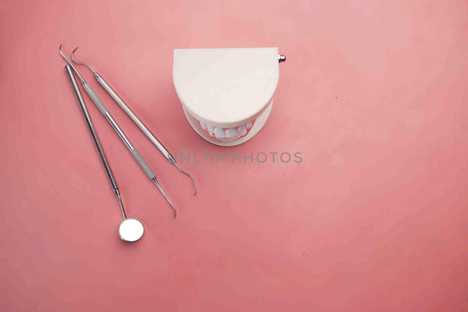 plastic dental teeth model on pink background .