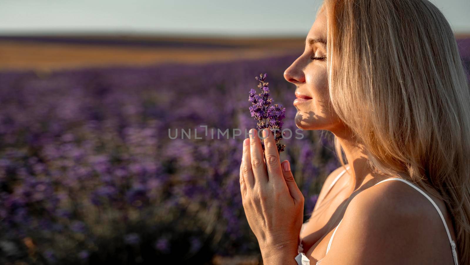 Beautiful blonde is in the field of lavender, holds a bouquet of flowers and enjoys aromatherapy. The girl's eyes are closed. The concept of aromatherapy, lavender oil, photo shoot in lavender.
