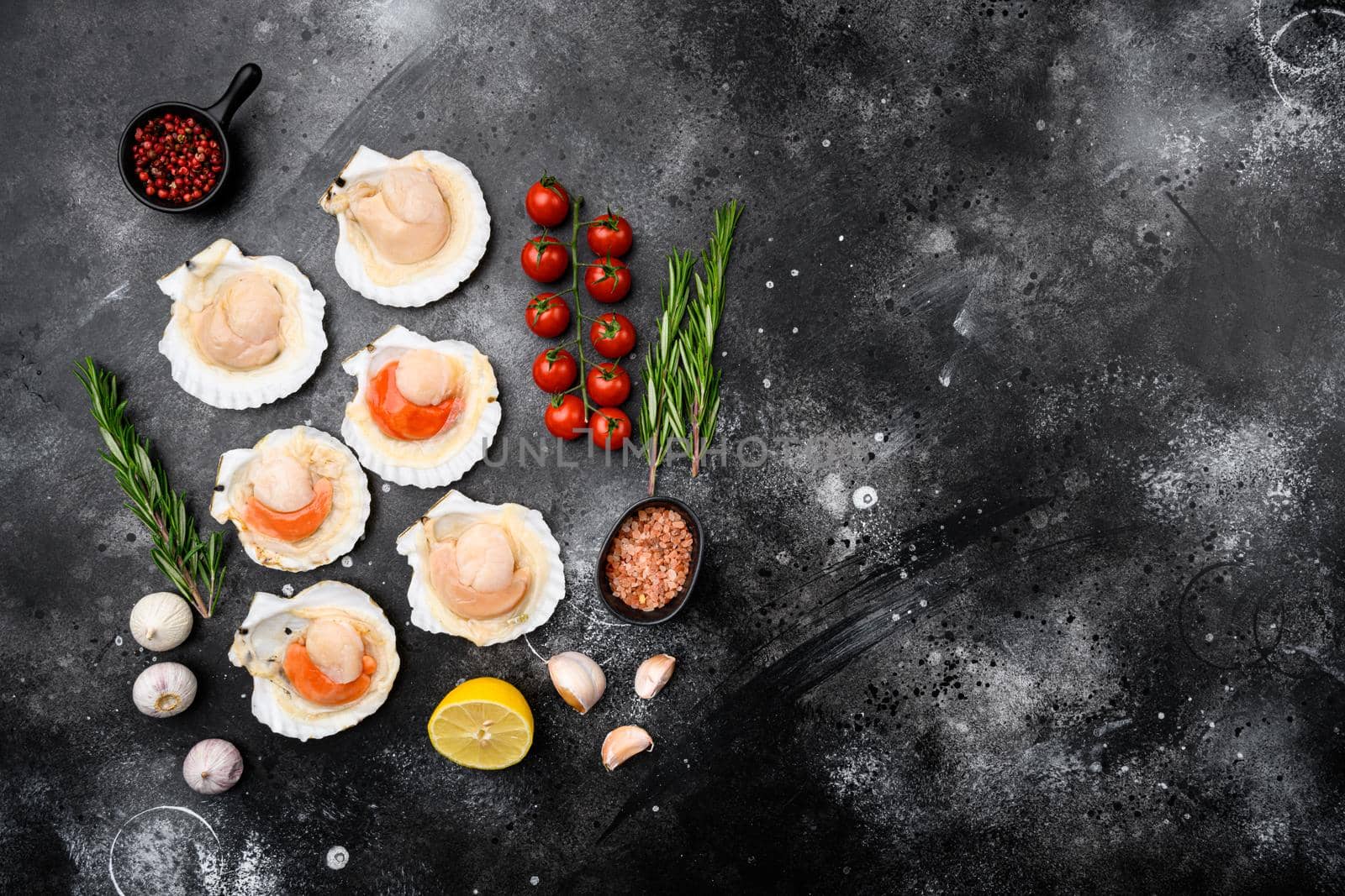 Raw Scallops set, on black dark stone table background, top view flat lay, with copy space for text