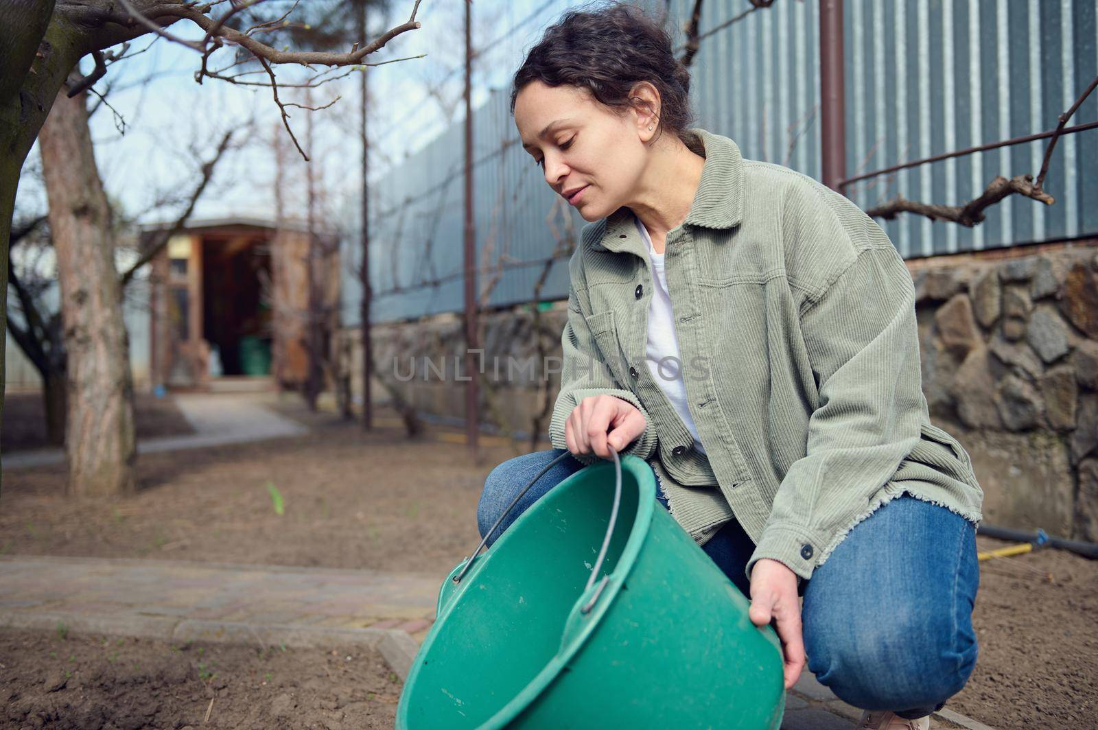 Middle aged Hispanic woman gardener watering plants from bucket in the garden of her country house. Horticulture, agriculture, Earth Day, home gardening concept