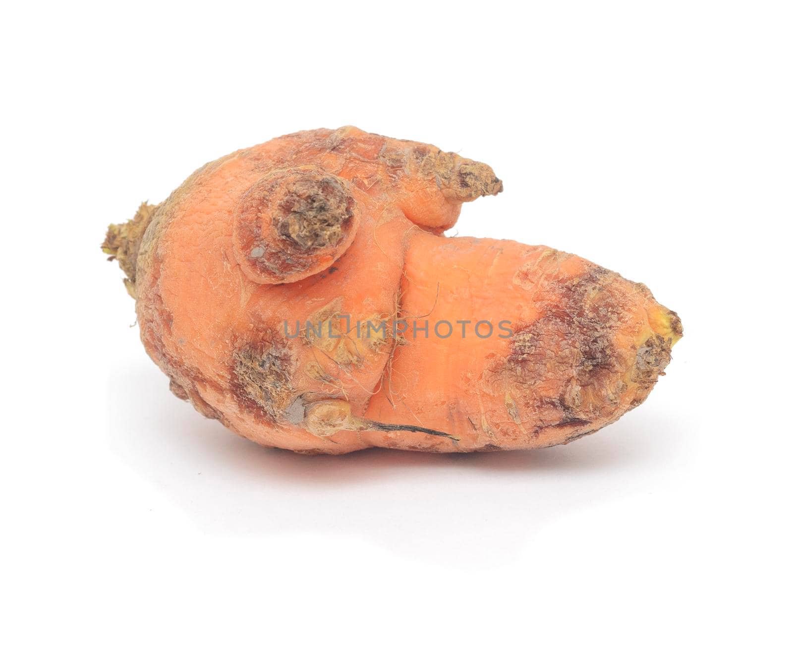 Ugly wringled carrot isolated on white background.