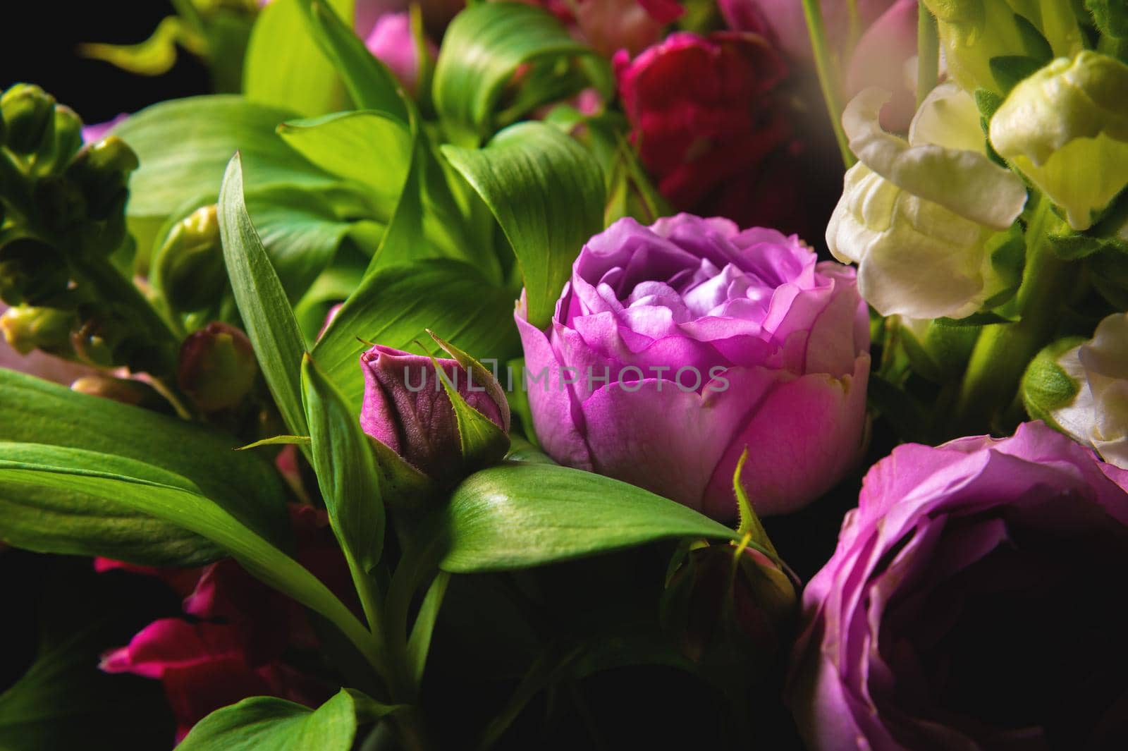 Fresh mixed flower bouquet on black background. Green branches with rich peony roses. Dark floral background.