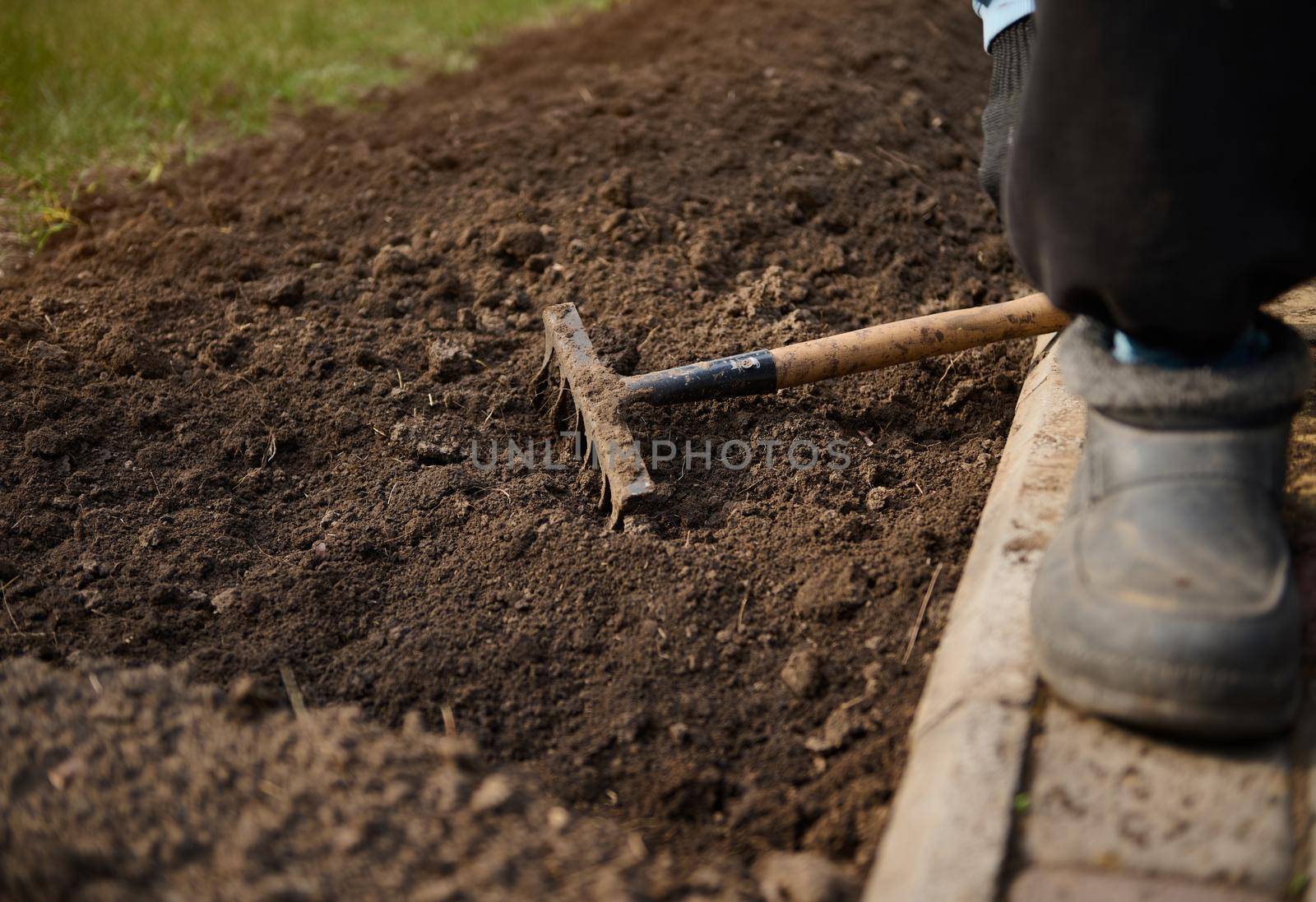Focus on soiled rakes lying on loosened soil prepared for seedlings and sowing on an early spring day. Horticulture, agriculture, gardening, house and garden concept
