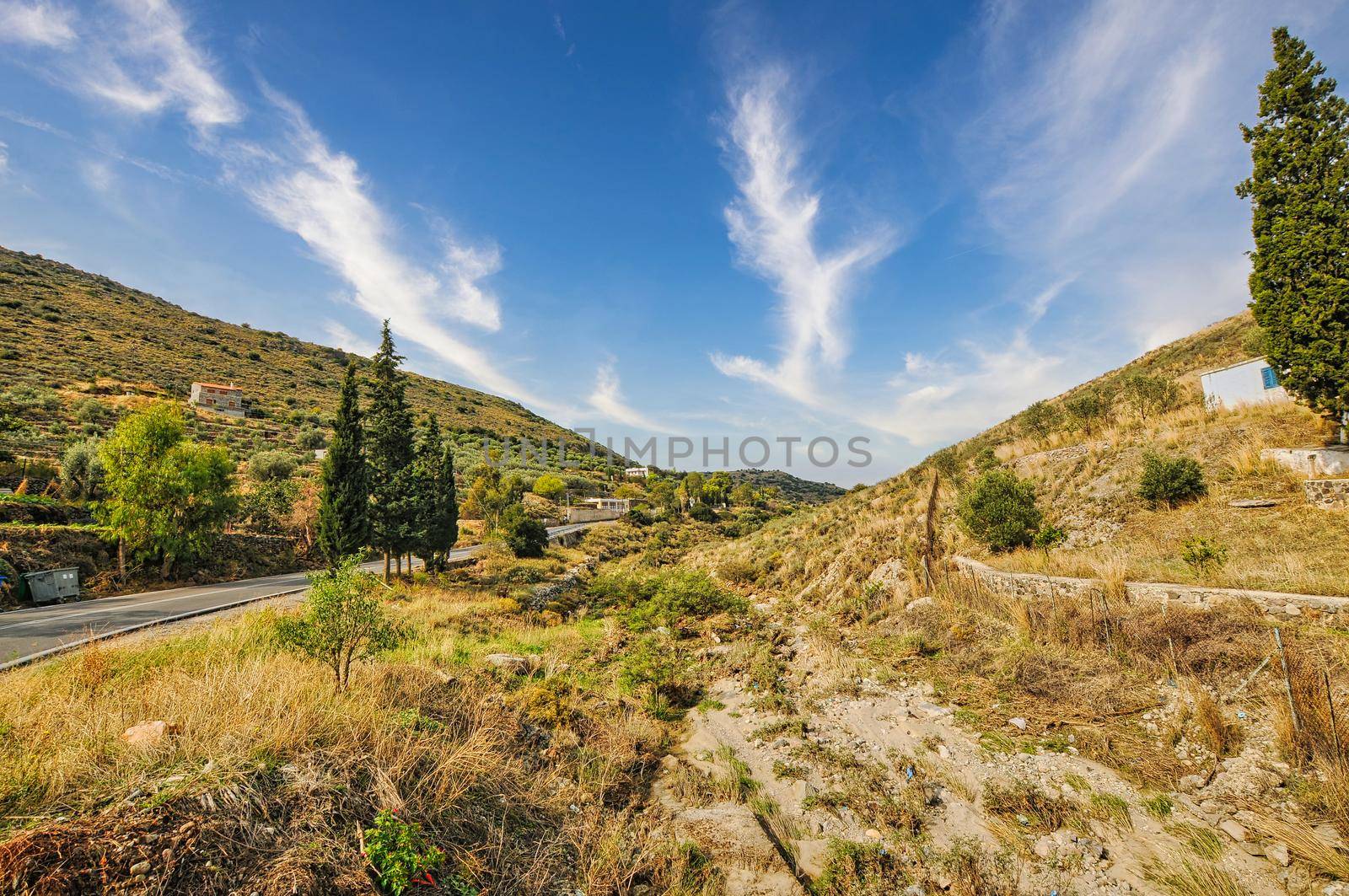 Nature in Aegina island, Greece by feelmytravel