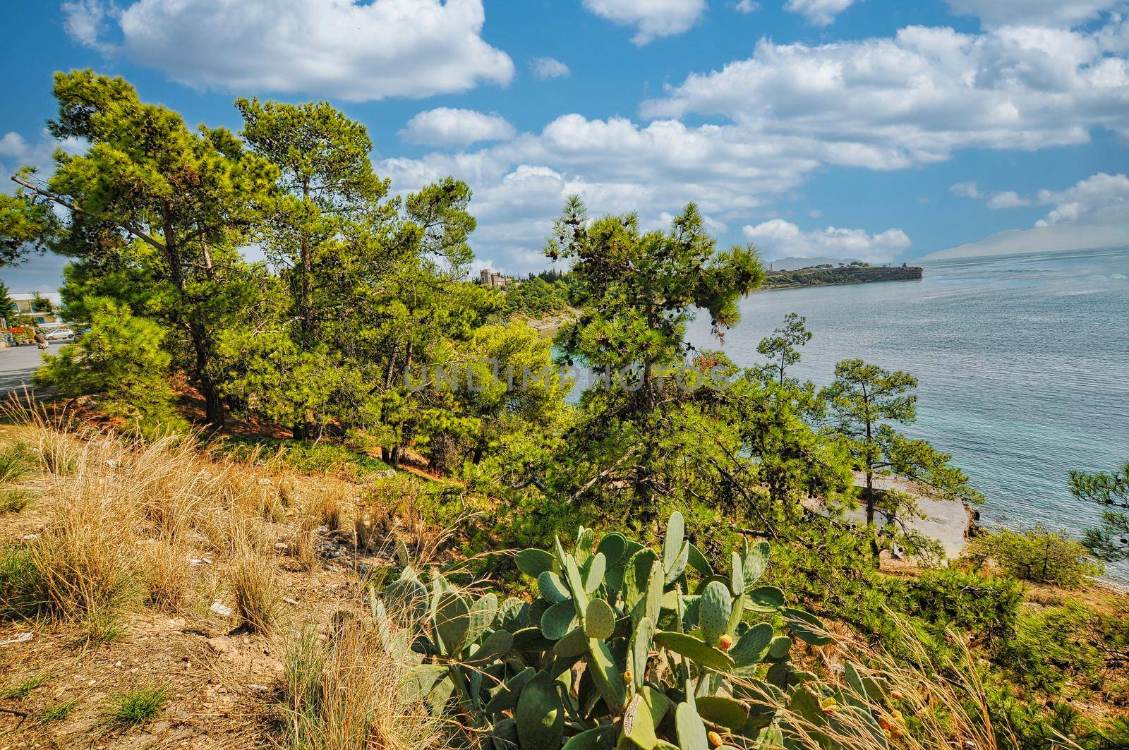 Beautiful nature in Aegina island