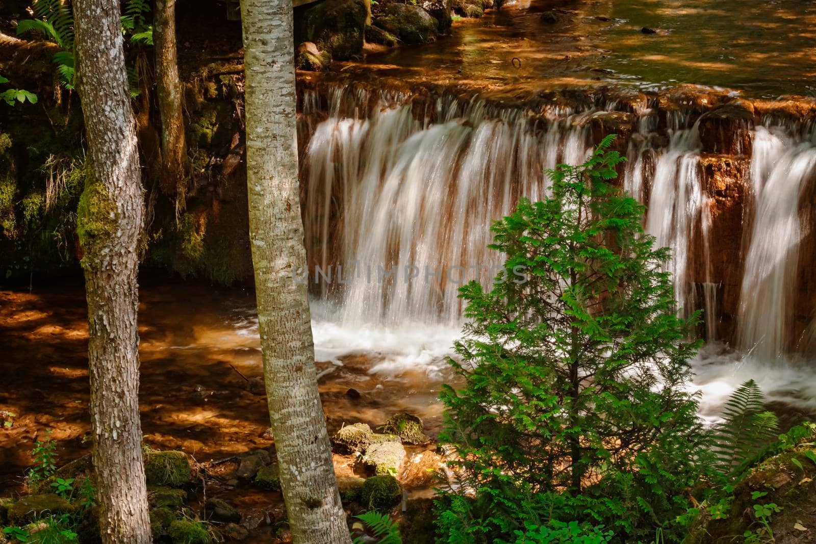 Small waterfall in the forest by SNR