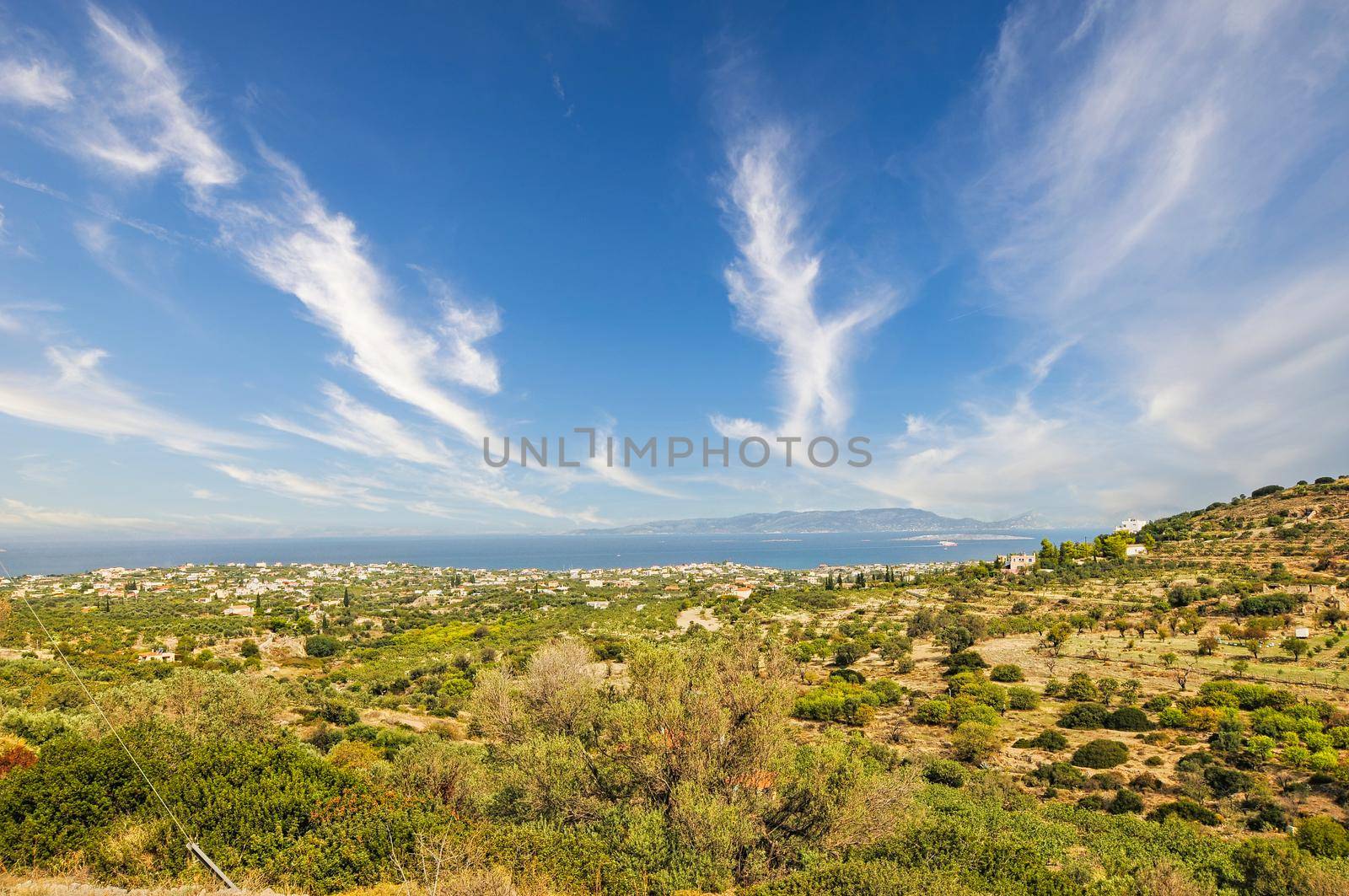 Beautiful nature with trees in the saronic island of Aegina