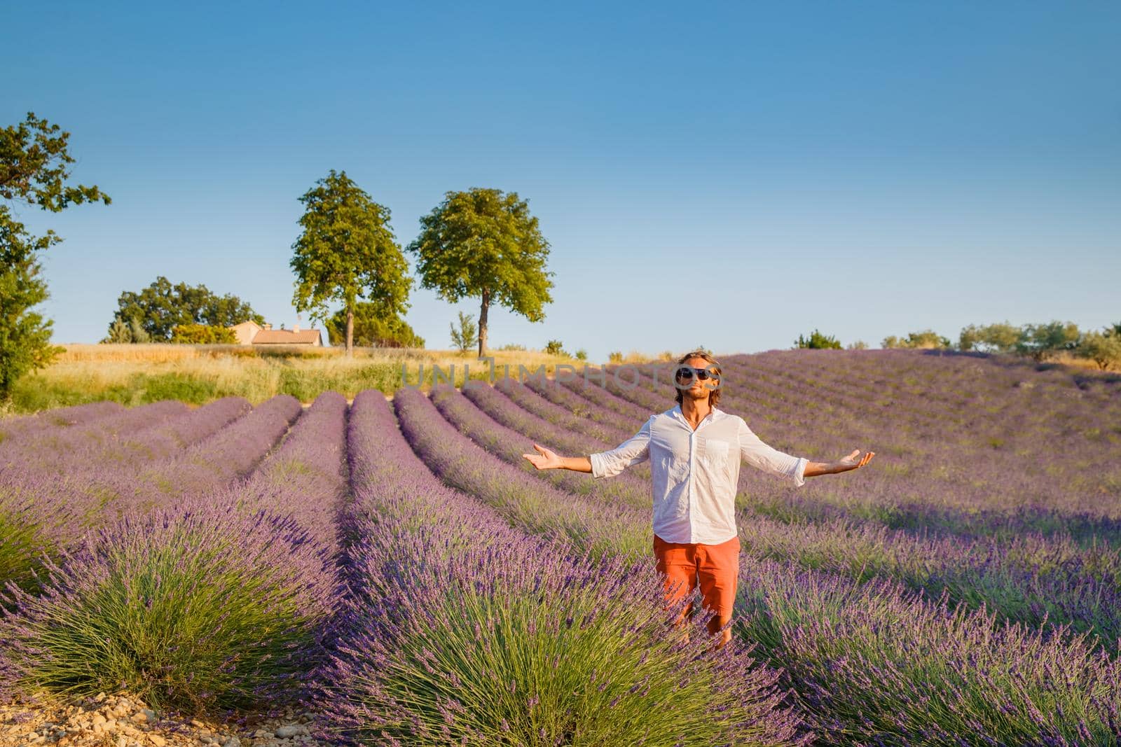 The handsome brutal man with long brunette hair poses in the field of lavender in provence near Valensole, France, clear sunny weather, in a rows of lavender, red shorts, white shirts, blue sky. High quality photo