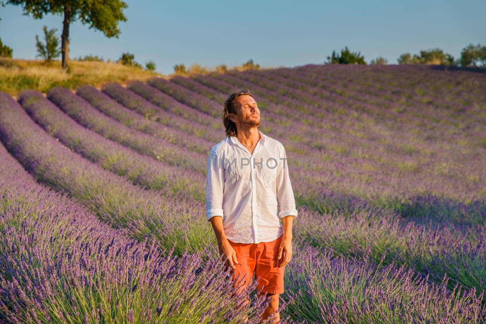 The handsome brutal man with long brunette hair poses in the field of lavender in provence near Valensole, France, clear sunny weather, in a rows of lavender, red shorts, white shirts, blue sky. High quality photo