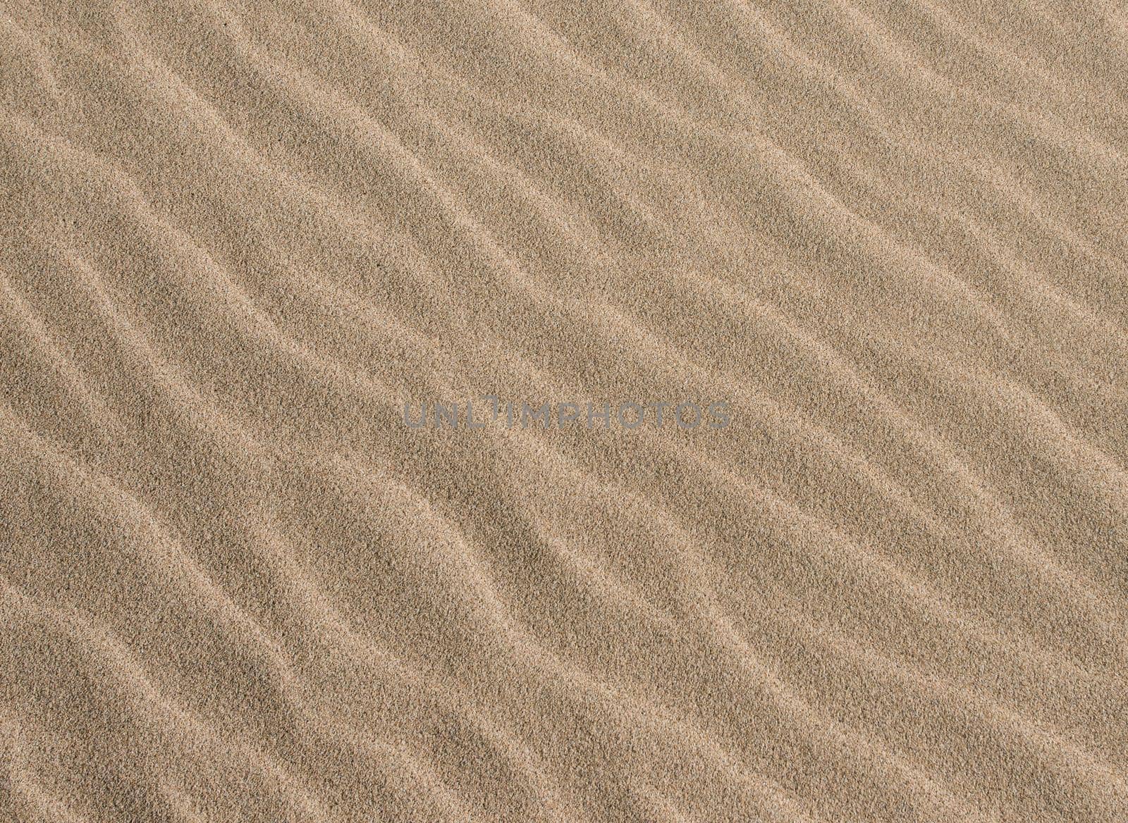 Simple sandy ripples created from wind