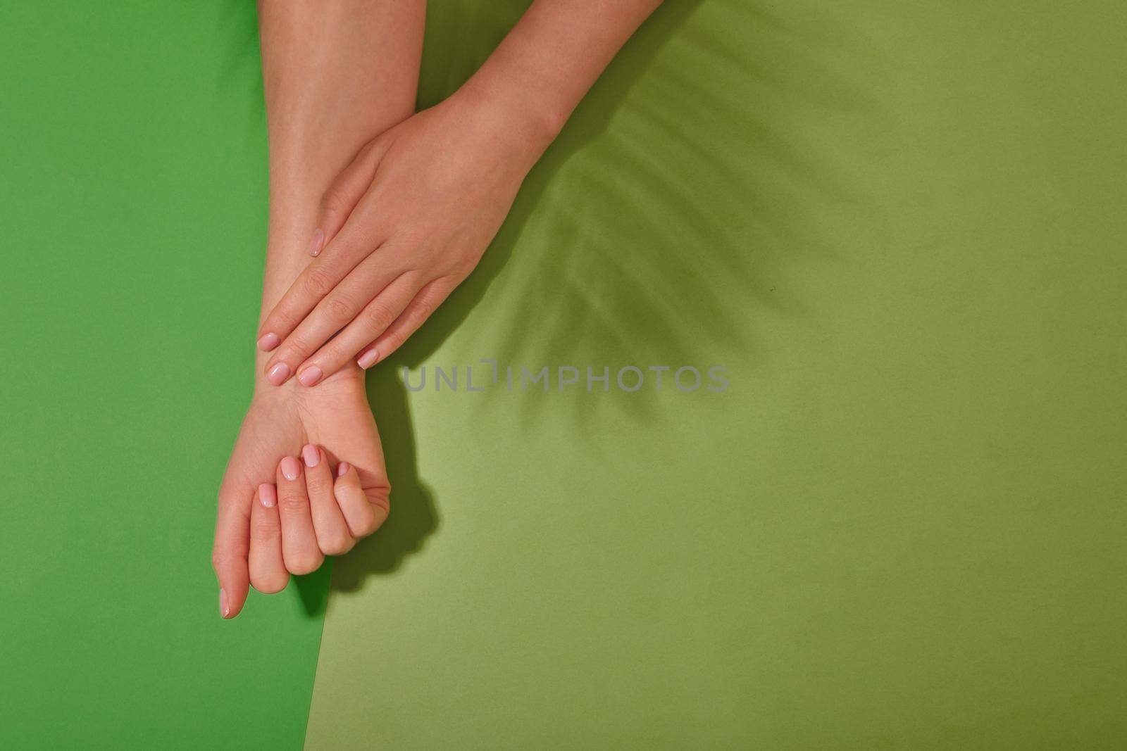Hands with natural color manicure with shadow from a branch of fern planton green background