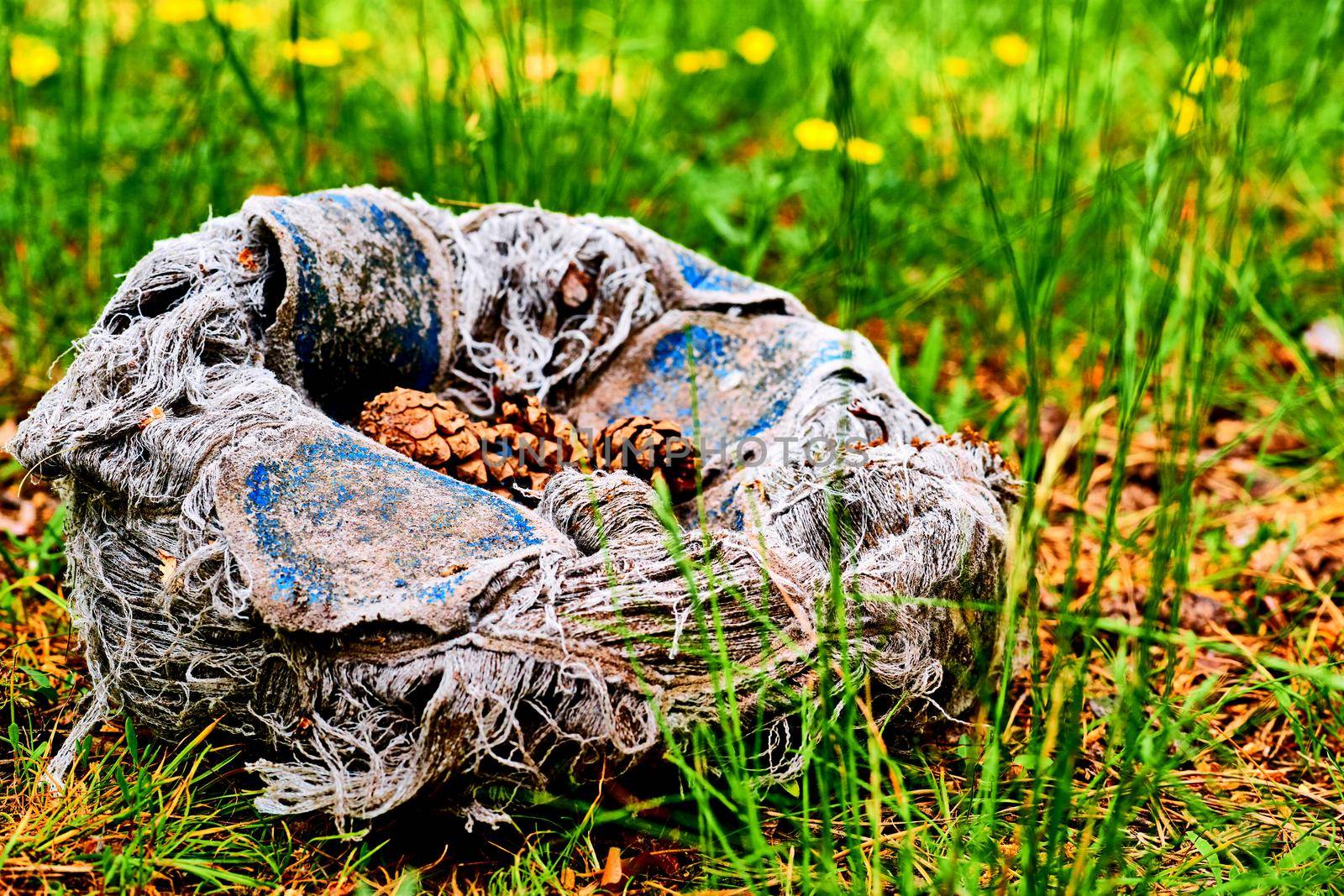 Abandoned torn old sports ball with cones inside among green grass by jovani68