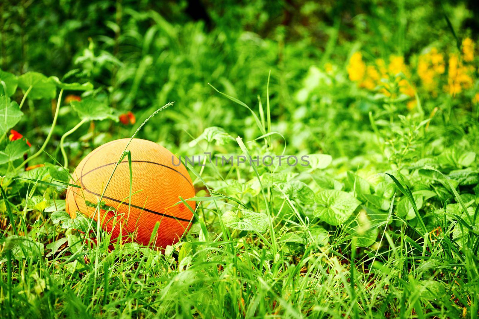 Orange basketball ball in the meadow with wildflowers and green grass by jovani68