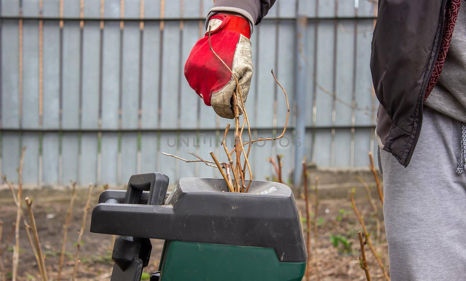 a man interrupts the dry branches of a tree into a tyrsa. selective focus