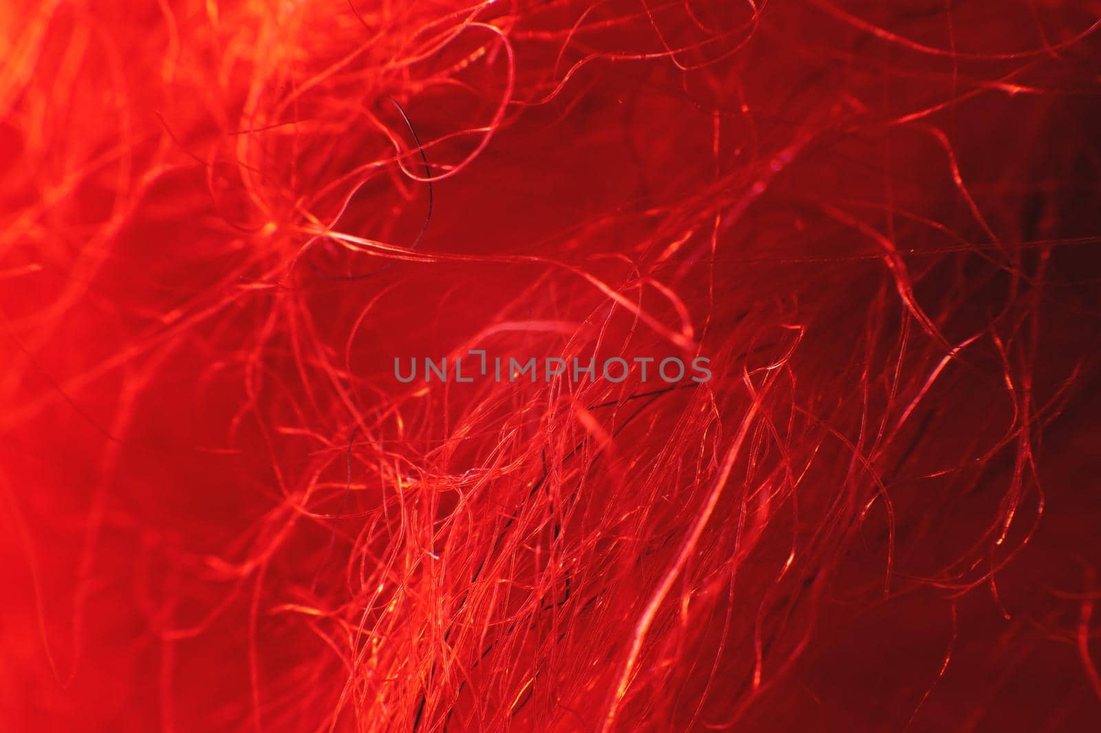 Macro photo. Close-up abstract textile fiber red-orange color extreme macro in shallow depth of field. Abstract background by yanik88