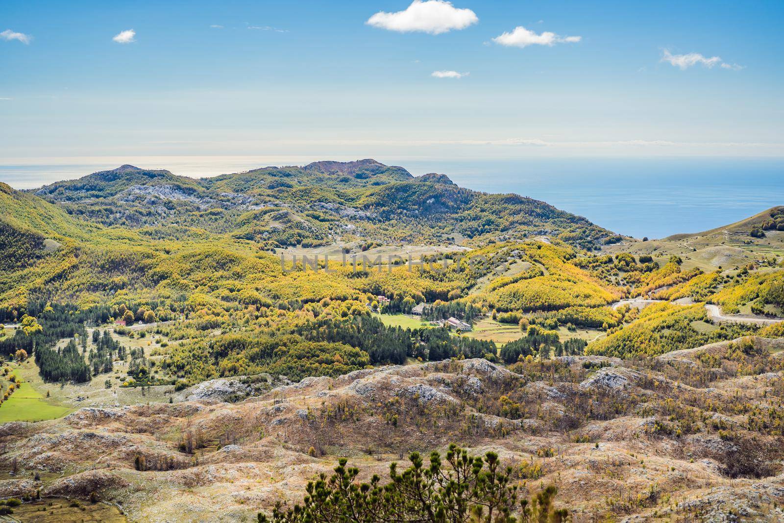 Summer mountain landscape at national park Lovcen, Montenegro. Sunny summer day by galitskaya