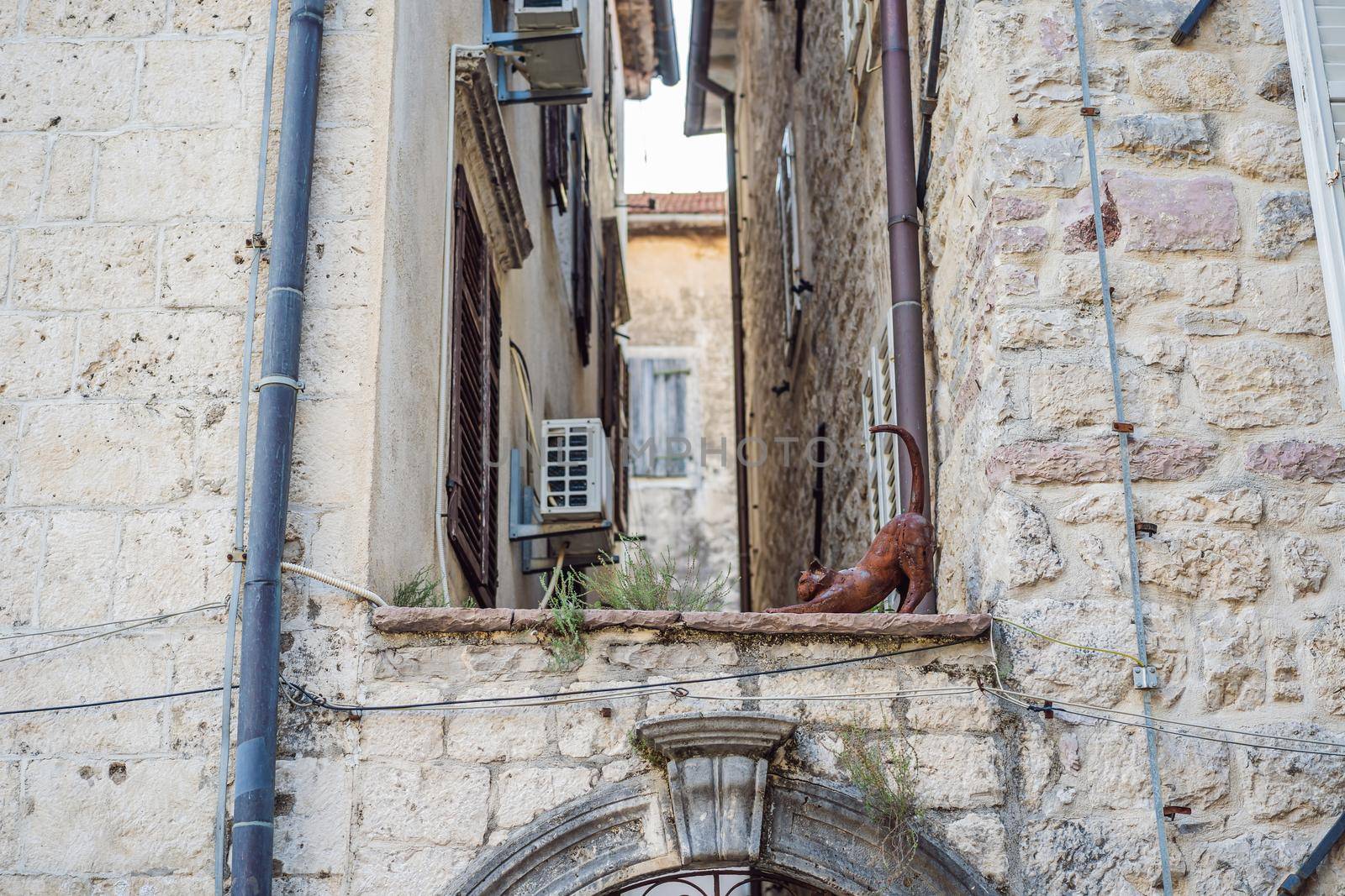 Colorful street in Old town of Kotor on a sunny day, Montenegro by galitskaya