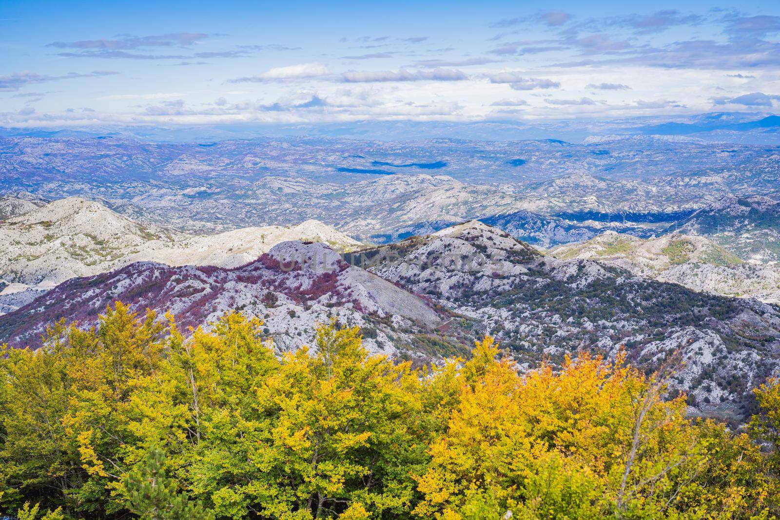 Summer mountain landscape at national park Lovcen, Montenegro. Sunny summer day by galitskaya