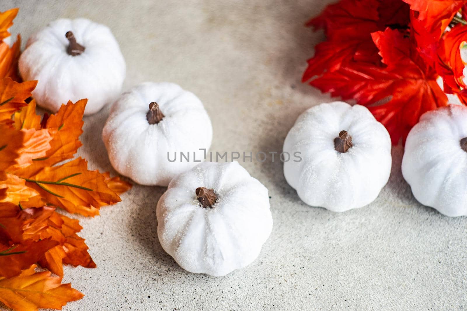Festive place setting for Thanksgiving celebration in monochrome white color