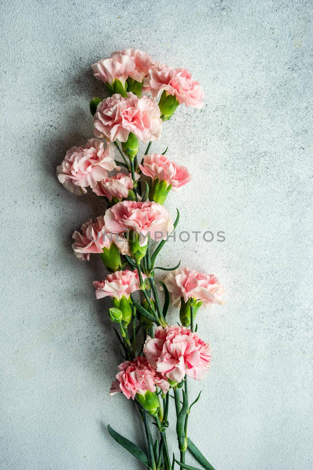 Spring bouquet with pink cloves by Elet