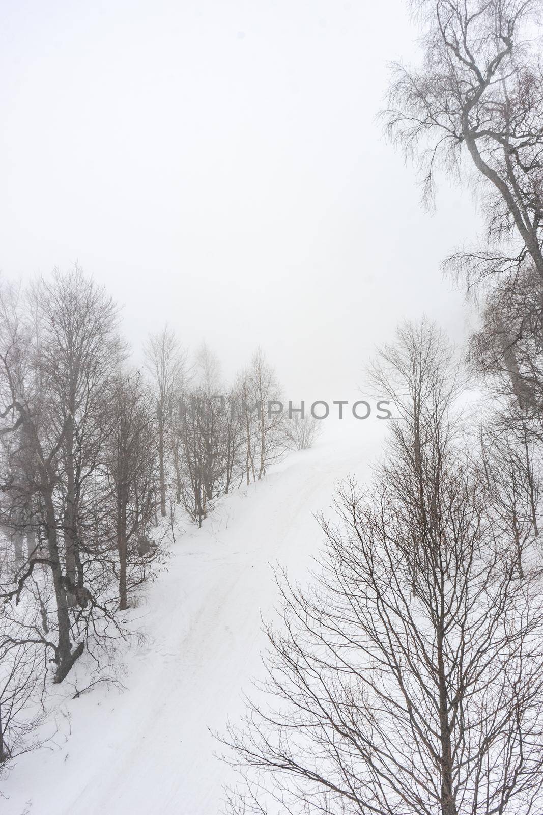 Covered with snow Caucasus mountain in misty day time in Bakuriani resort, Georgia