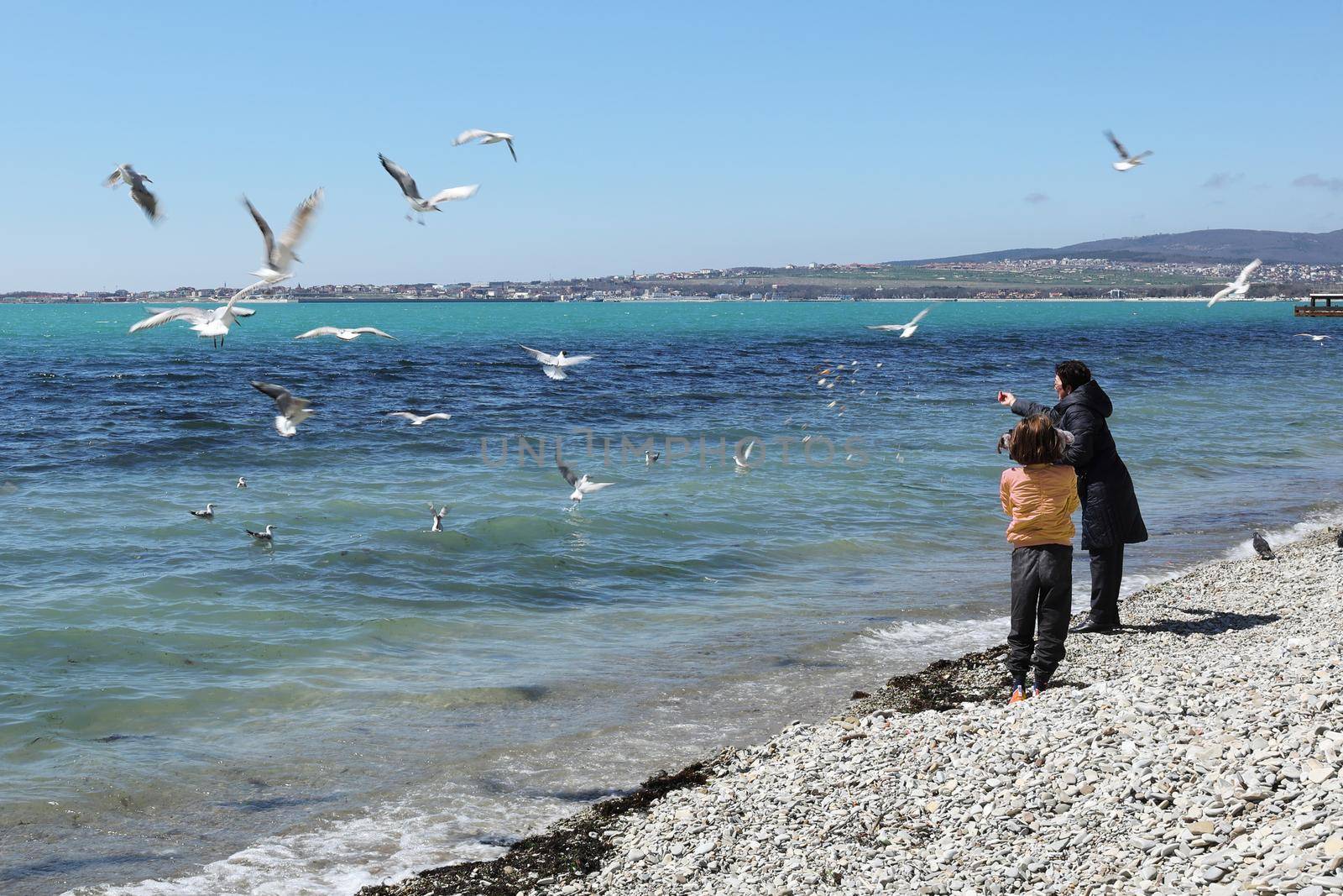 White woman and her granddaughter are feeding seagulls on the sea beach in spring by Proxima13