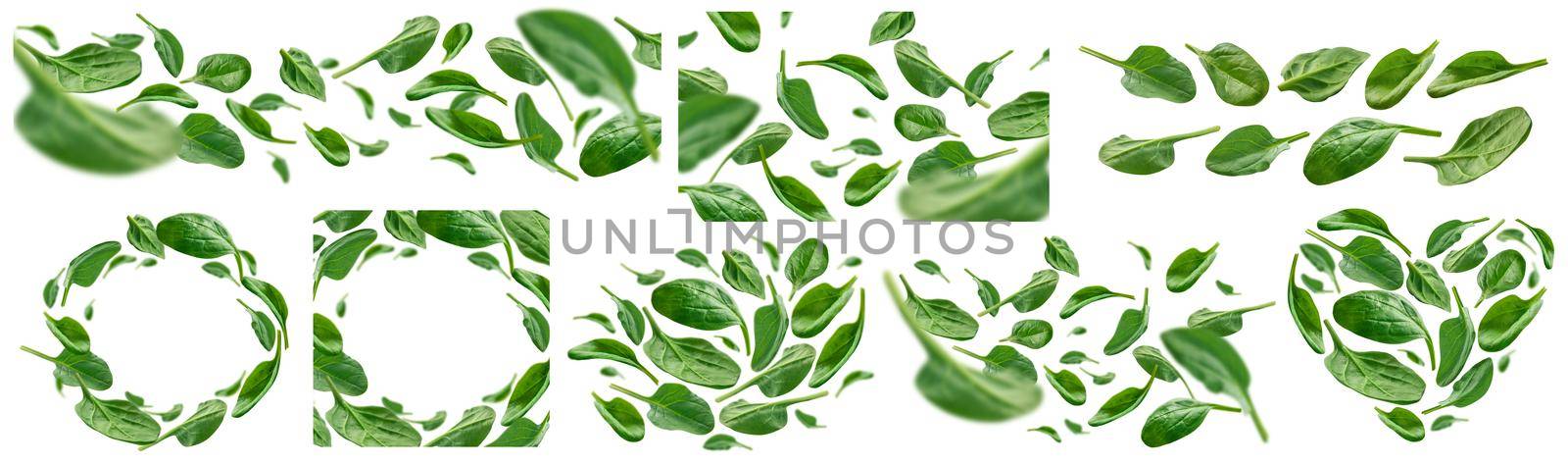 A set of photos. Green spinach leaves levitate on a white background.