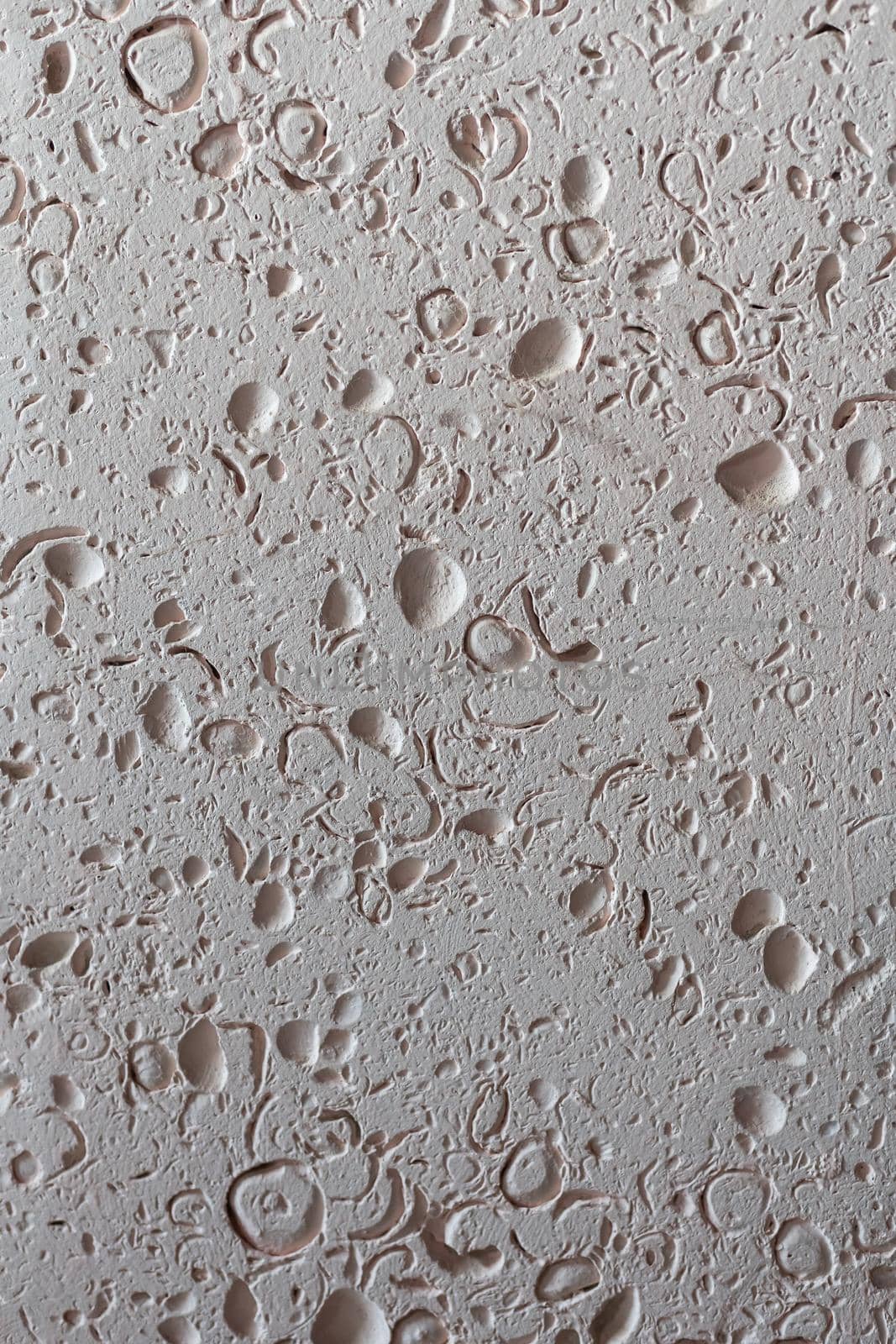 Wall tile sea shell abstract texture