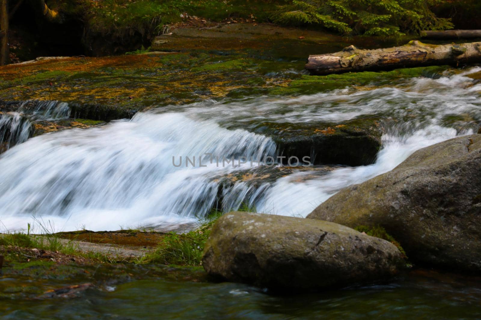 Cold clear water flows through the rocks in the forest, spring