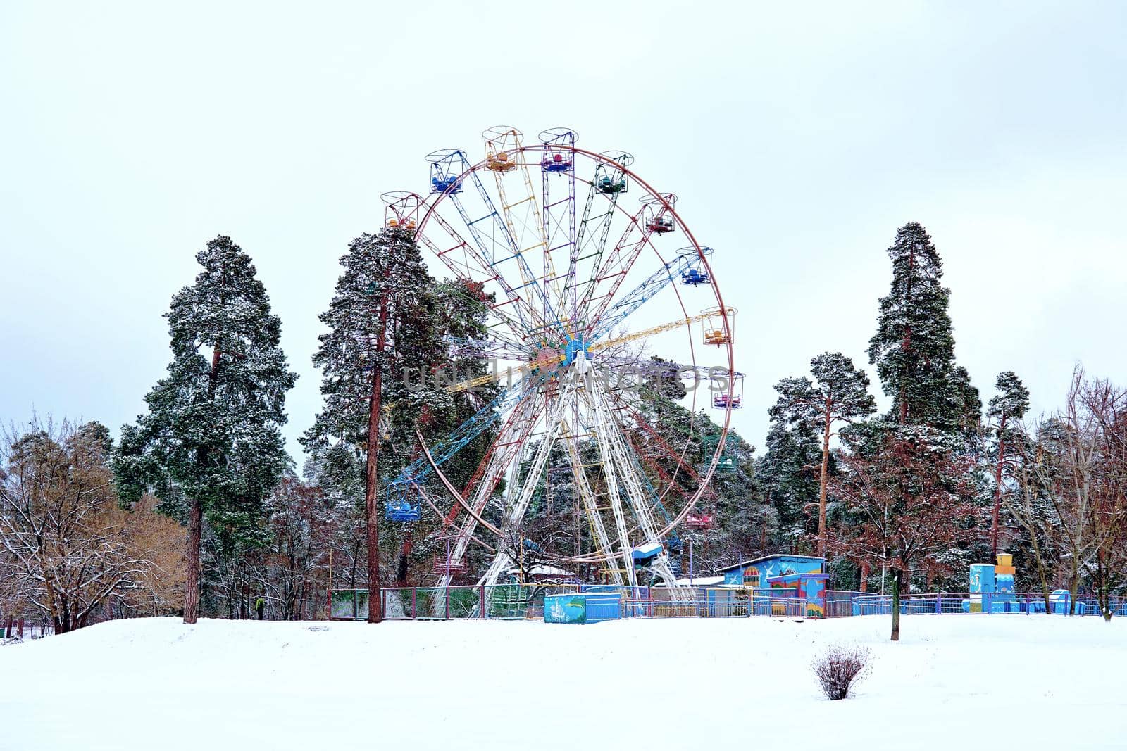 an amusement-park or fairground ride consisting of a giant vertical revolving wheel with passenger cars suspended on its outer edge.big ferris wheel in winter forest park.