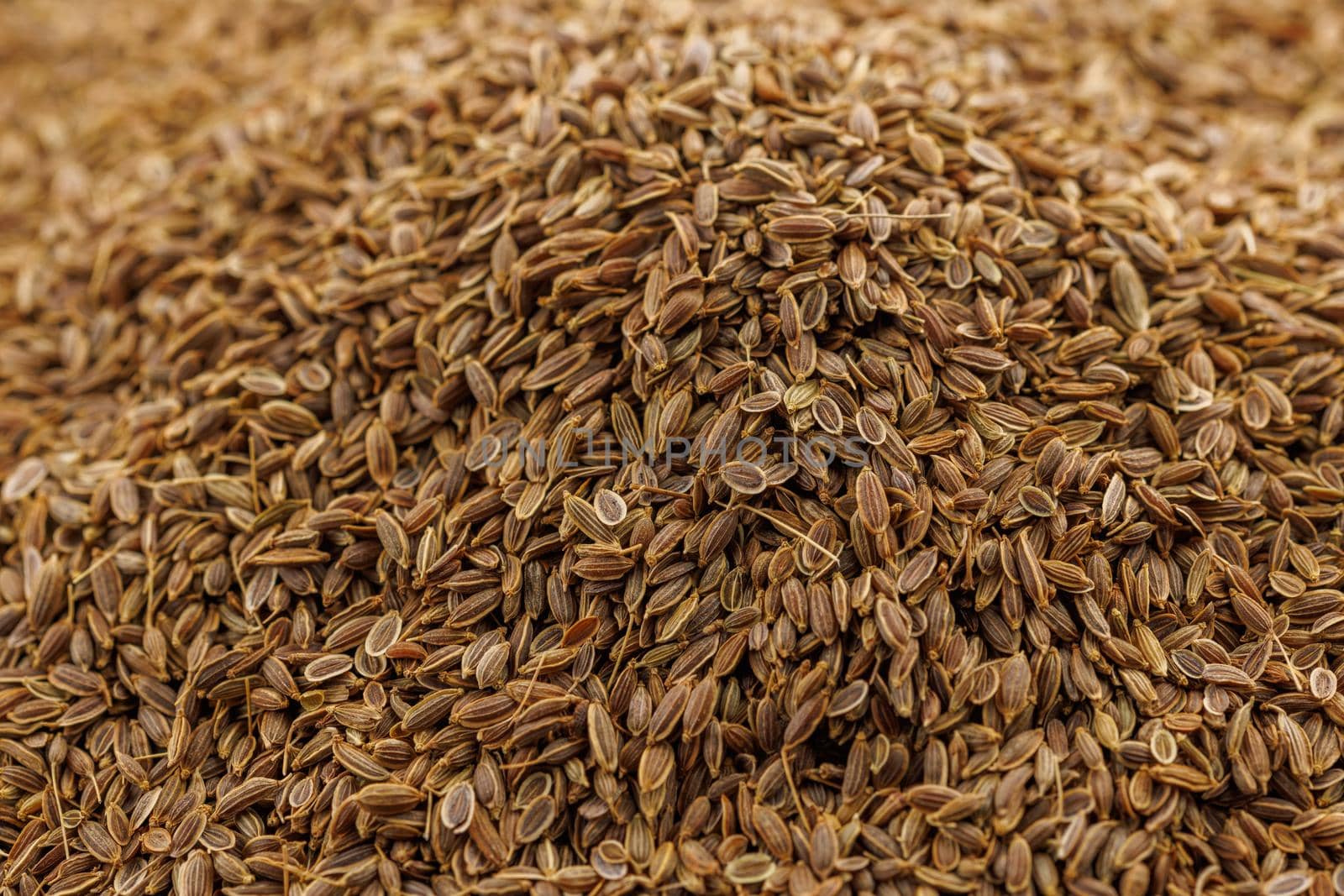 dry dill seeds pile, close-up background with selective focus by z1b